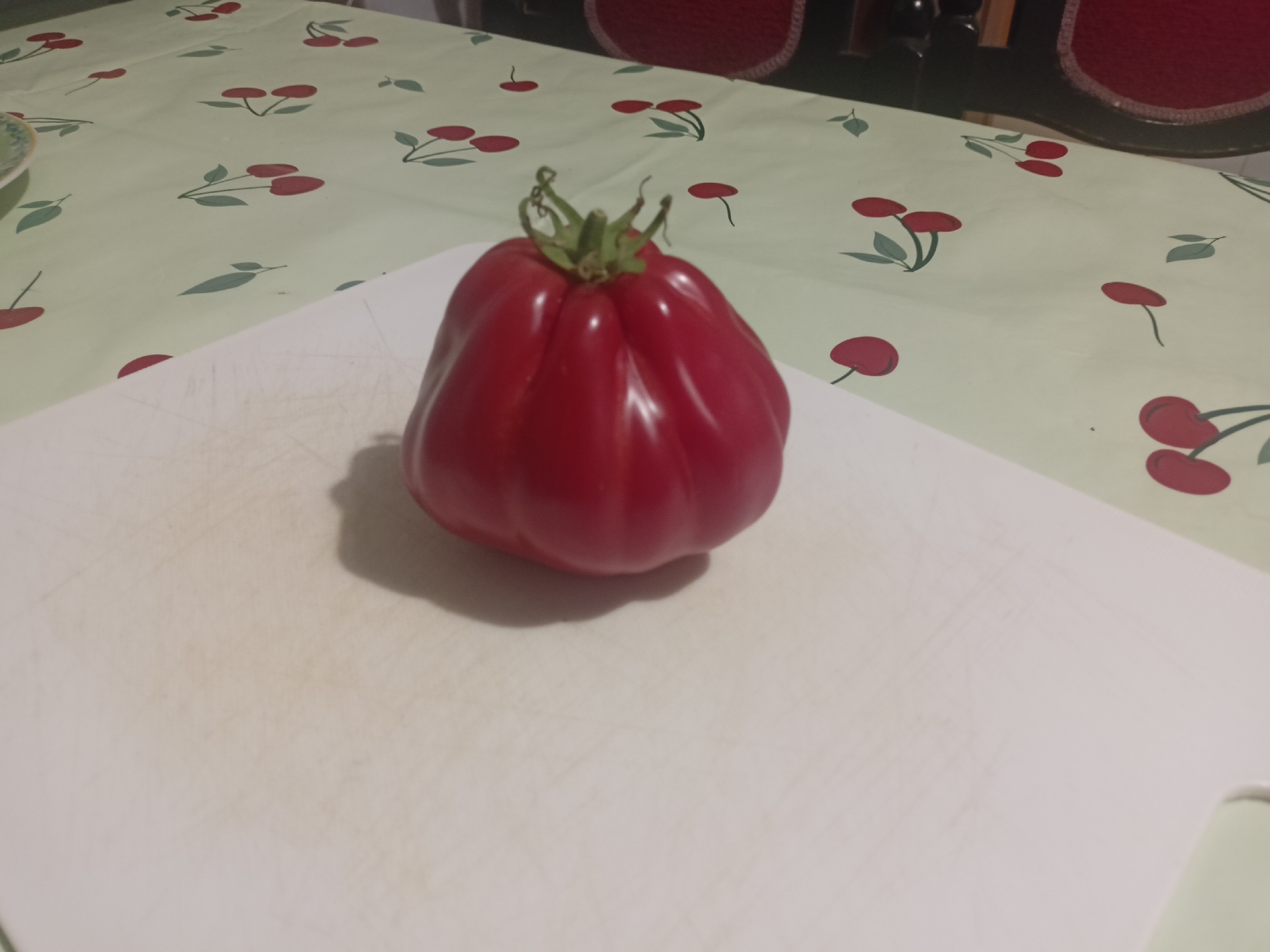 A single, red, ruffled tomato rests on a white plastic cutting board. The cutting board is positioned on a table covered with a light green tablecloth patterned with red cherries and green leaves. The background is out of focus but shows glimpses of dark red chair backs. The scene appears to be indoors. There are no people present.