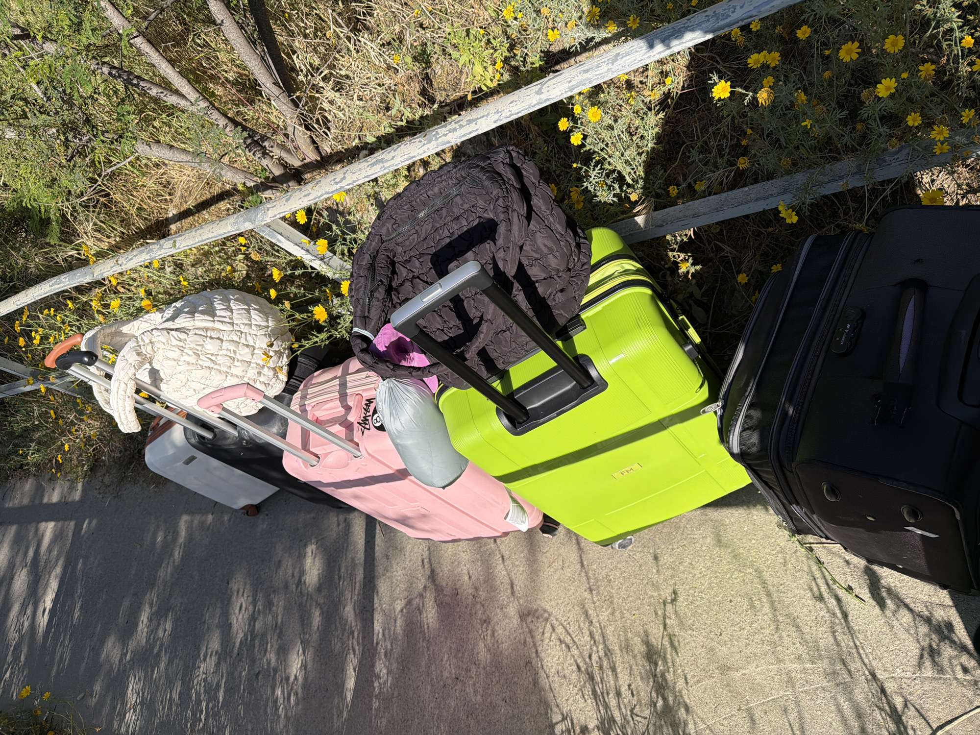 The image shows several pieces of luggage, including a white quilted bag, a white suitcase, a pink suitcase with a "STUSSY" logo, a neon green suitcase, and a black suitcase, placed on a concrete surface and leaning against a weathered metal railing. A black, puffy jacket is on top of the neon green suitcase. The railing separates the concrete from a patch of vegetation, primarily comprising dry grass and yellow wildflowers. The image appears to be taken outdoors in daylight. There is no other information that indicates this location is specifically in Tel-Aviv, Israel. There are no people visible in the picture.