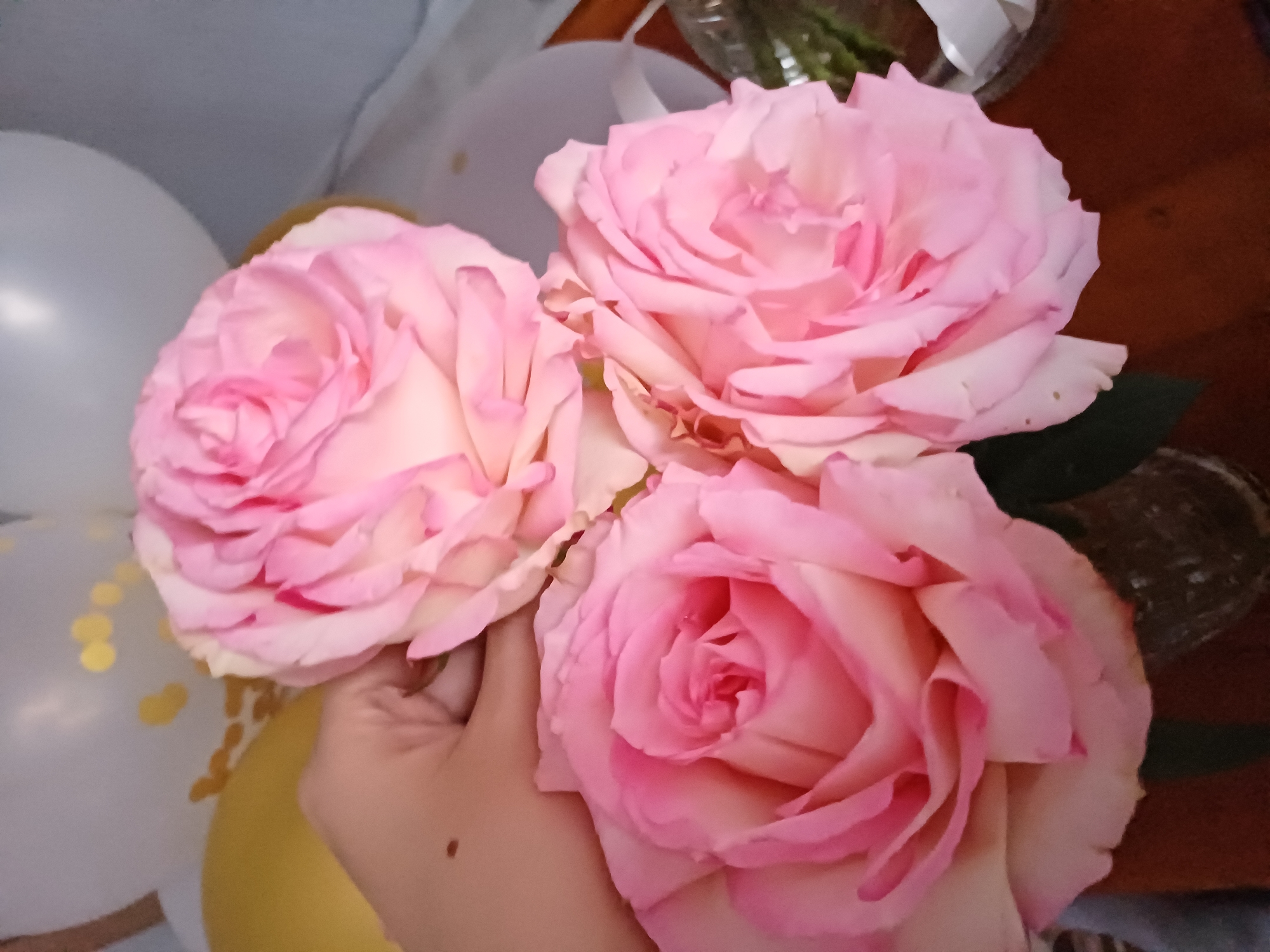 In an indoor setting, a hand is holding a bouquet of three large, light pink roses. The roses have many petals and appear to be fully bloomed. In the background, two balloons are visible, one yellow and one white with gold polka dots, suggesting a celebratory occasion. The flowers are in a dark vase, and the scene is lit with a warm light. The location is not specified.