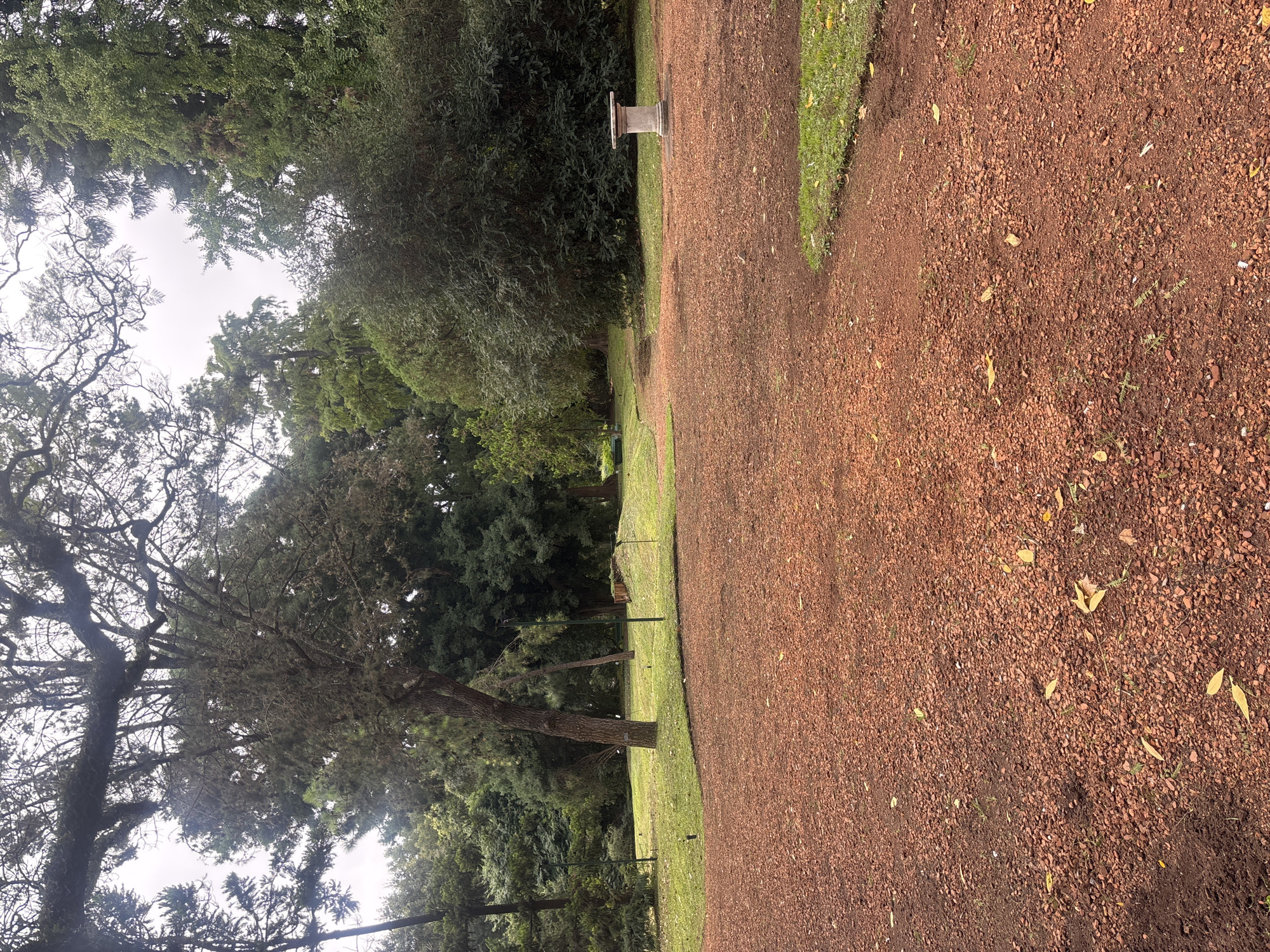 The image depicts a dirt path within a park in Buenos Aires, Argentina. The path is reddish-brown and composed of small gravel or compacted soil, suggesting regular foot traffic. The path is lined on one side by a green grassy area, with trees and dense foliage visible beyond. The opposite side of the path is also bordered by trees and dense vegetation, creating a tunnel-like effect. The sky is overcast, providing diffuse lighting. There is a concrete structure in the background.