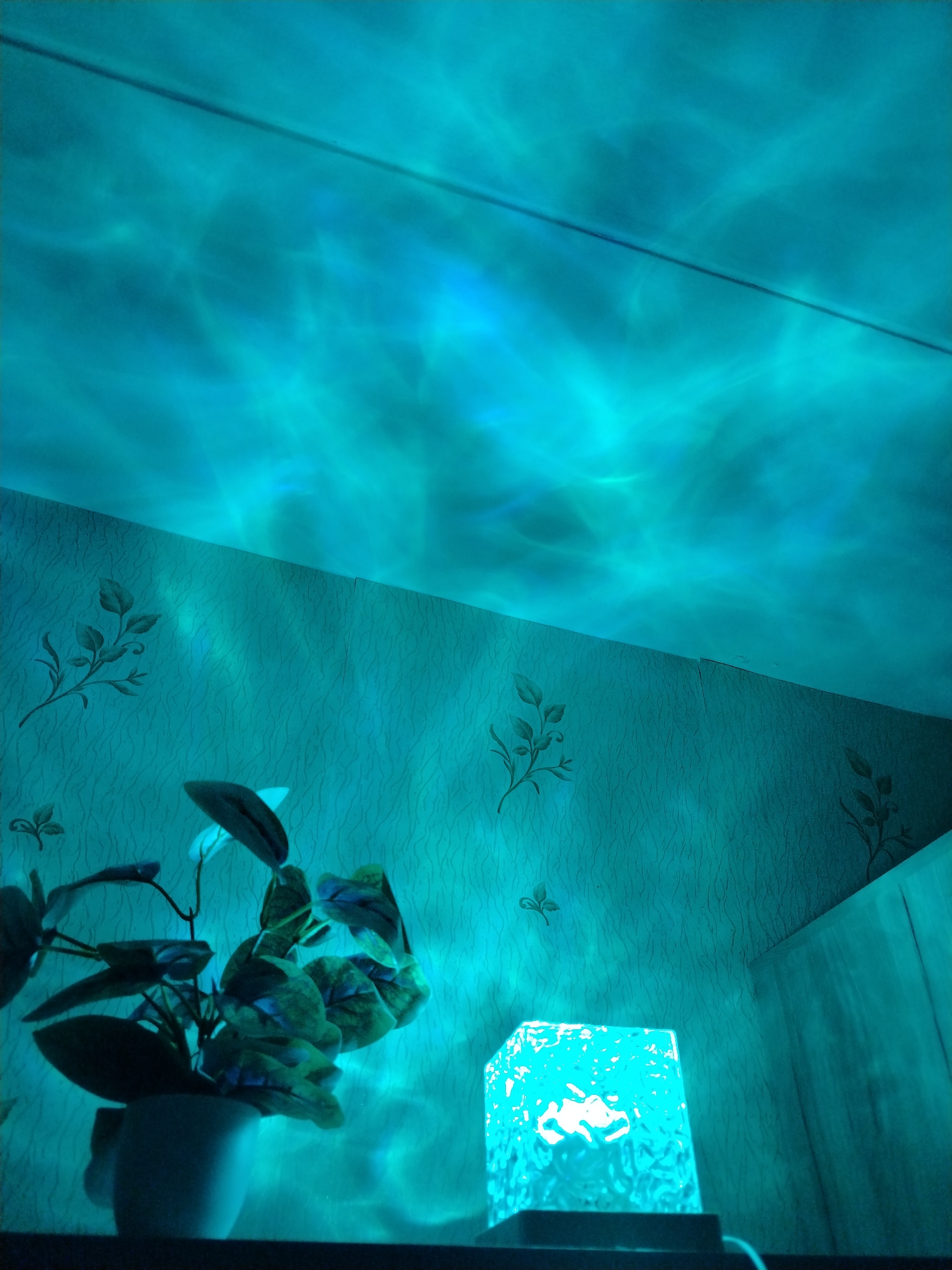 An interior space is bathed in cyan light. Light patterns resembling moving water are projected onto the ceiling. The wallpaper has a subtle floral design. A potted plant sits on a surface alongside a cube-shaped light fixture that is also emitting cyan light. The space appears to be in Chaikovsky, Russia, based on the location information provided.