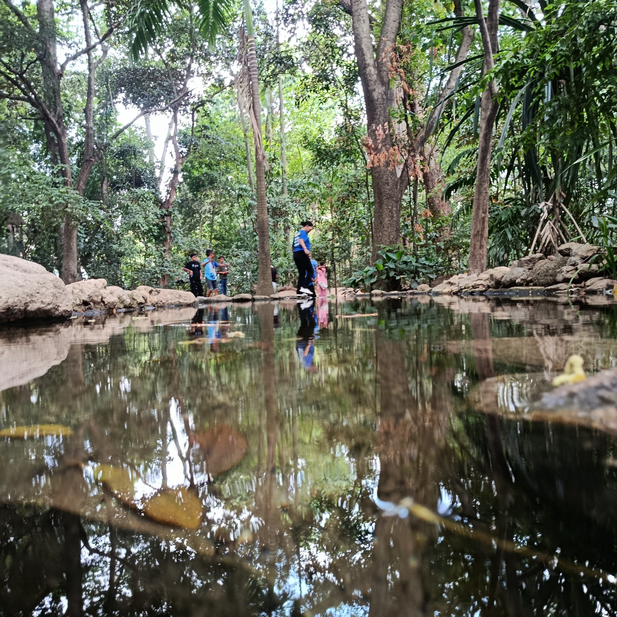 The image captures a tranquil scene in a natural setting. The focus is on a body of water, most likely a pond or lake, reflecting the surrounding environment. On the far bank, a group of people, including adults and children, are visible, some standing close to the water's edge. The area is wooded, with numerous trees and lush vegetation creating a dense backdrop. The water's surface is partly covered with leaves and debris. The lighting suggests it is daytime, with moderate sunlight filtering through the trees. The location of the image is Unknown, Unknown.