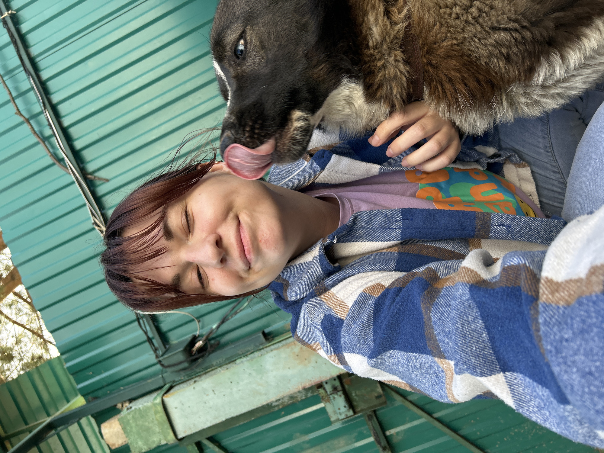 A close-up, diagonally oriented portrait captures a heartwarming moment between a young person and a dog in an outdoor setting in Фоки, Russia. The person, with reddish-brown hair and bangs, has their eyes closed and a soft smile, conveying a feeling of happiness and affection. They are wearing a blue, white, and brown plaid flannel shirt over a light purple t-shirt featuring a vibrant graphic design in orange, blue, and green, along with light blue jeans.
The dog, positioned with its head close to the person's, has dark brown and black fur with lighter greyish-brown fur around its neck. One striking blue eye is visible as it affectionately licks the person's cheek or ear, its pink tongue clearly extended.
The background features a bright green corrugated metal structure, likely a roof or wall, creating distinct diagonal lines. Wires or cables are visible along this structure, and a metal beam or frame can also be seen. In the upper left corner, sunlit branches of a tree indicate a bright, clear daytime. The overall impression is one of genuine connection and joy. There is no visible text in the image.