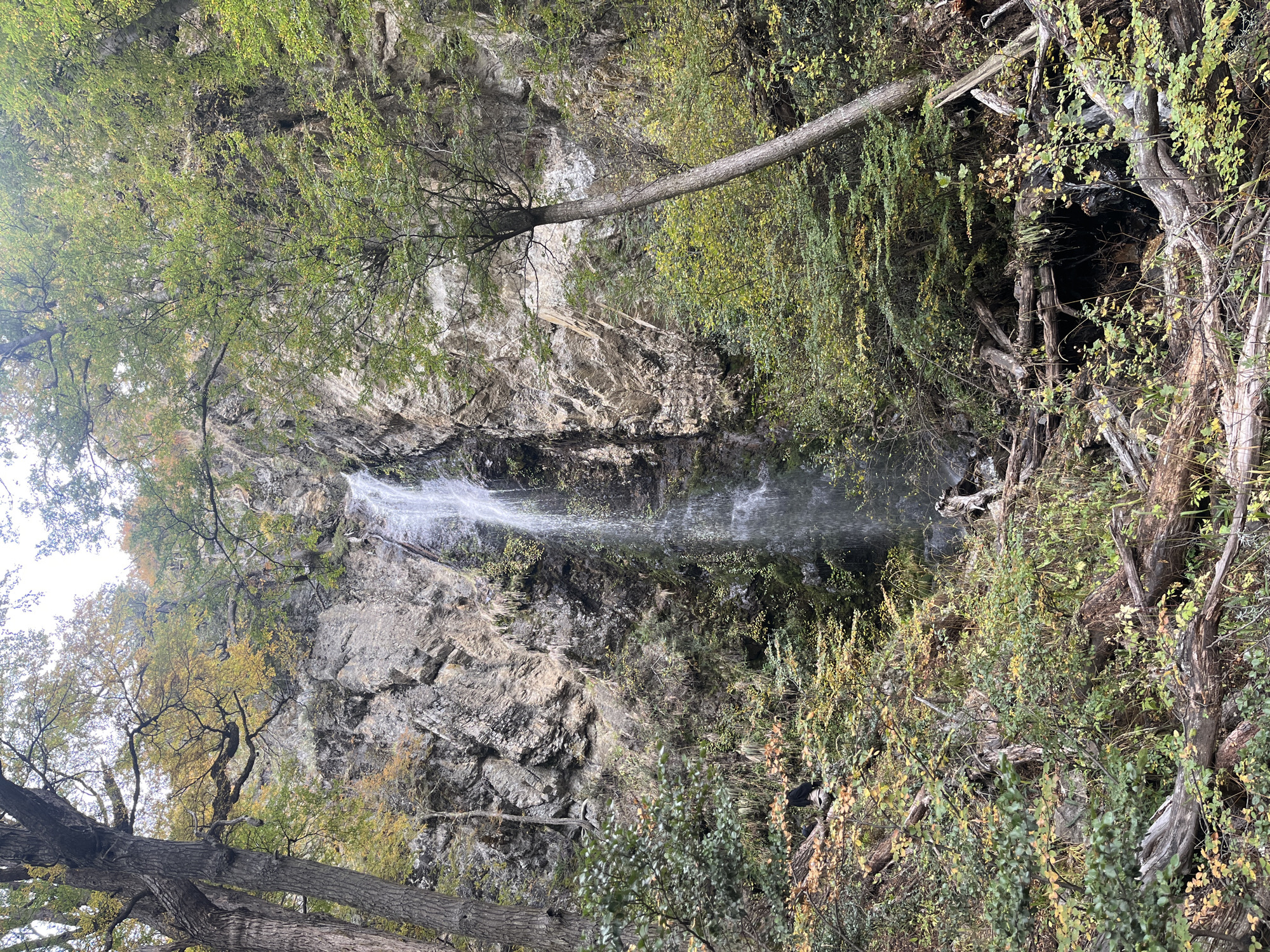 The image shows a waterfall cascading down a rocky cliff face. Lush greenery and trees frame the waterfall. The scene is likely located in Puerto Almanza, Argentina.