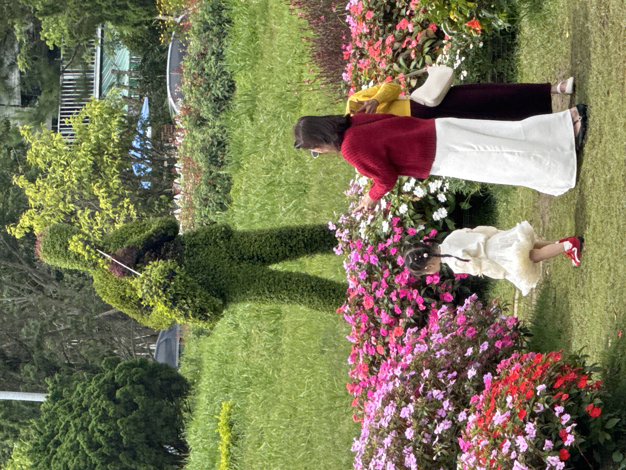 The image shows a topiary sculpture of a person playing a violin in a park setting. The sculpture is green and appears to be made of dense bushes or hedges. In the foreground, there are vibrant flower beds with pink, red, and white flowers. Three people are visible: a young girl in a white dress, and two women in long skirts, one in red and the other in yellow. The girl is looking towards the flower bed, while the women are standing and looking around. In the background, there is lush green grass, trees, and some buildings with white railings. The scene suggests a public garden or park in Dalat, Vietnam, known for its floral displays and artistic topiary.