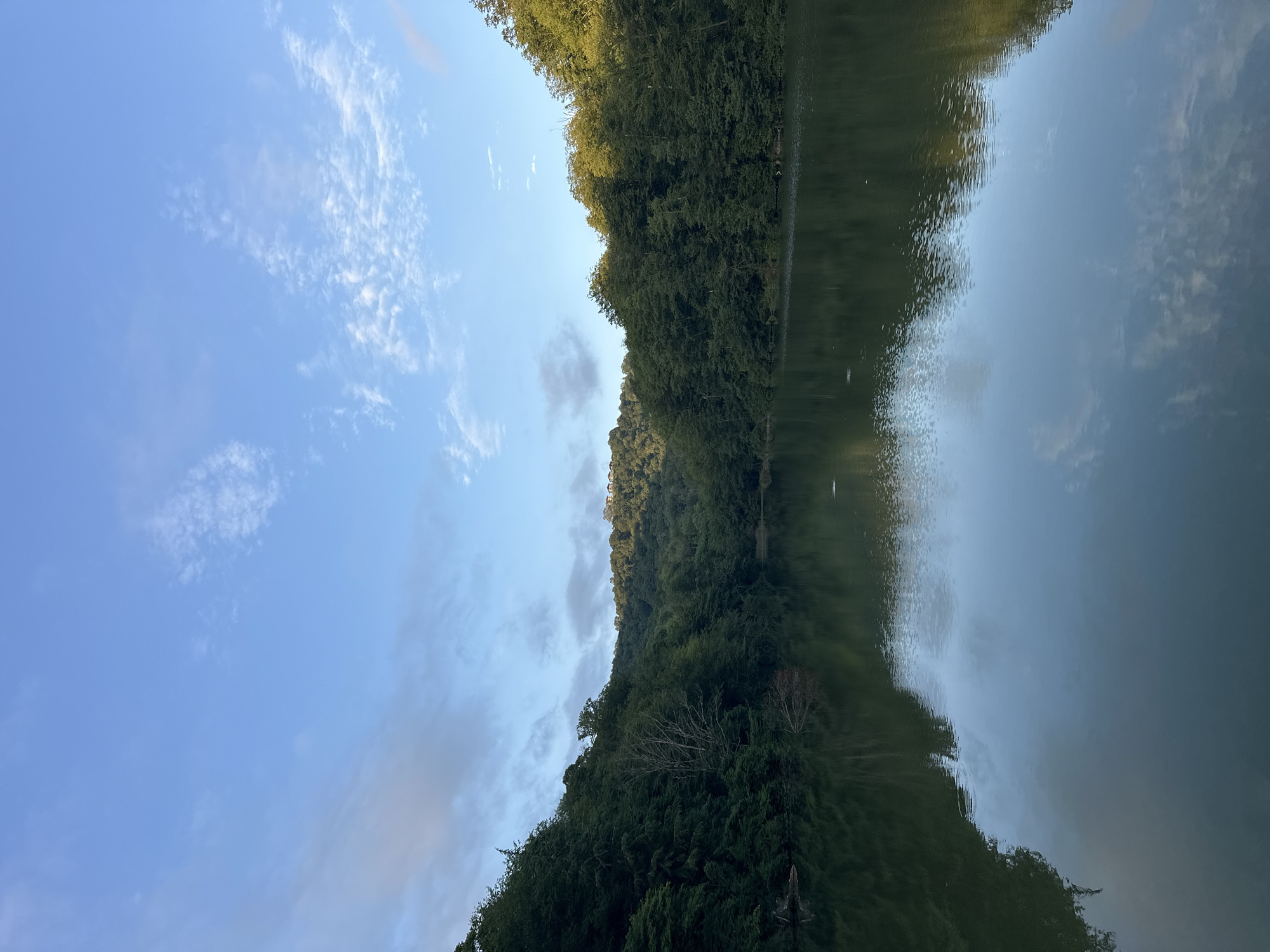 The image depicts a serene lake surrounded by lush green trees, with a gentle hill in the background. The sky is a clear blue with scattered white clouds, and the water's surface reflects the surrounding landscape and the sky. The scene appears to be in a natural setting, possibly a park or a nature reserve, given the presence of dense foliage and the calm atmosphere. The location is identified as Razdolnoye, Russia. There are no people or animals visible in the image, and no specific actions are taking place. The overall impression is one of tranquility and natural beauty.