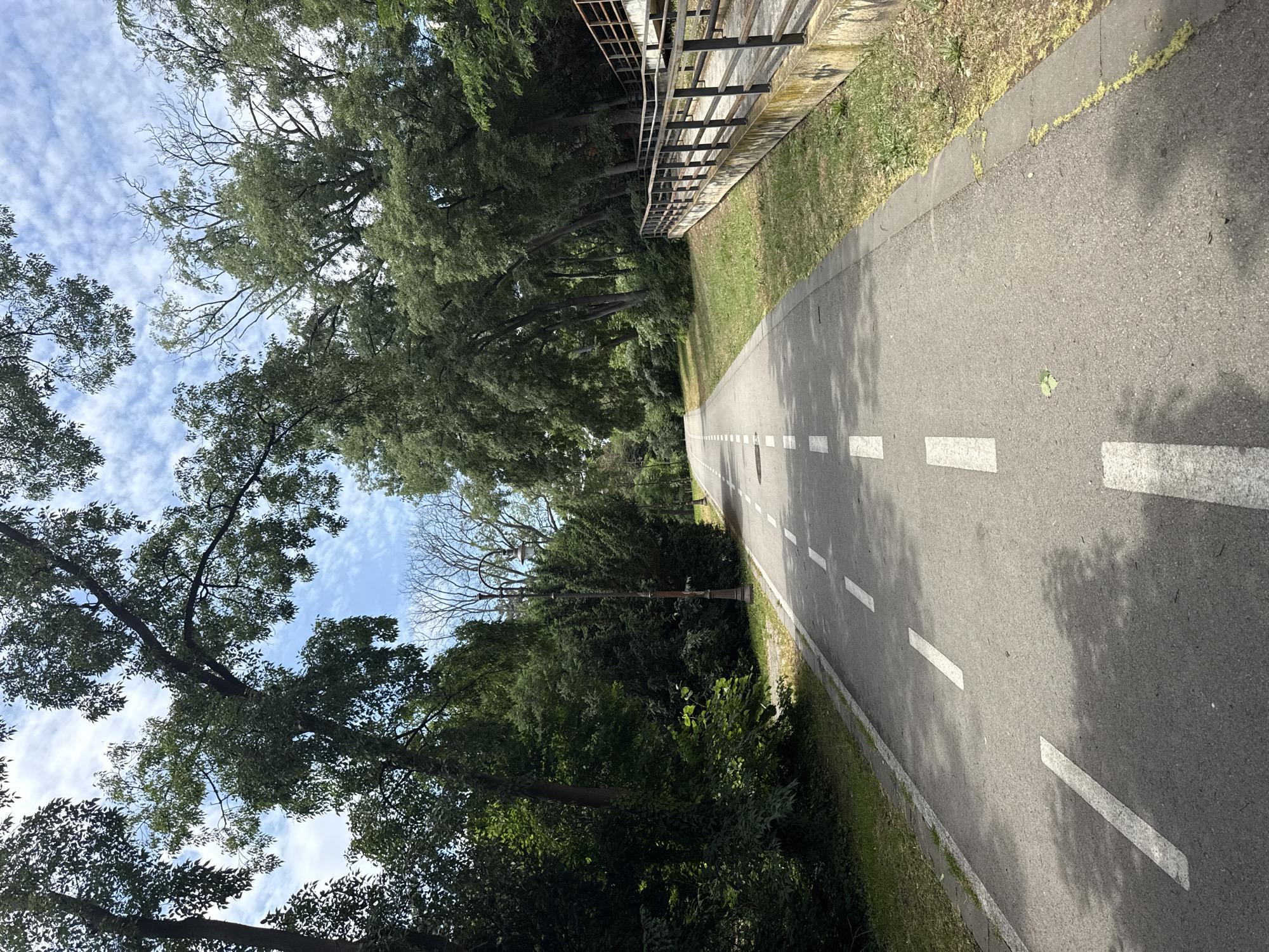 The image depicts a paved pathway lined with white dashed lines, suggesting it may be a road or a bike path. The pathway is surrounded by lush green trees and vegetation, indicating an outdoor park or a natural setting within a city. In the background, a blue sky with scattered white clouds is visible, suggesting it is daytime. On the right side of the pathway, there is a concrete structure with a black metal railing, possibly a bridge or an elevated walkway. The overall scene conveys a serene and tranquil atmosphere, suitable for recreational activities.