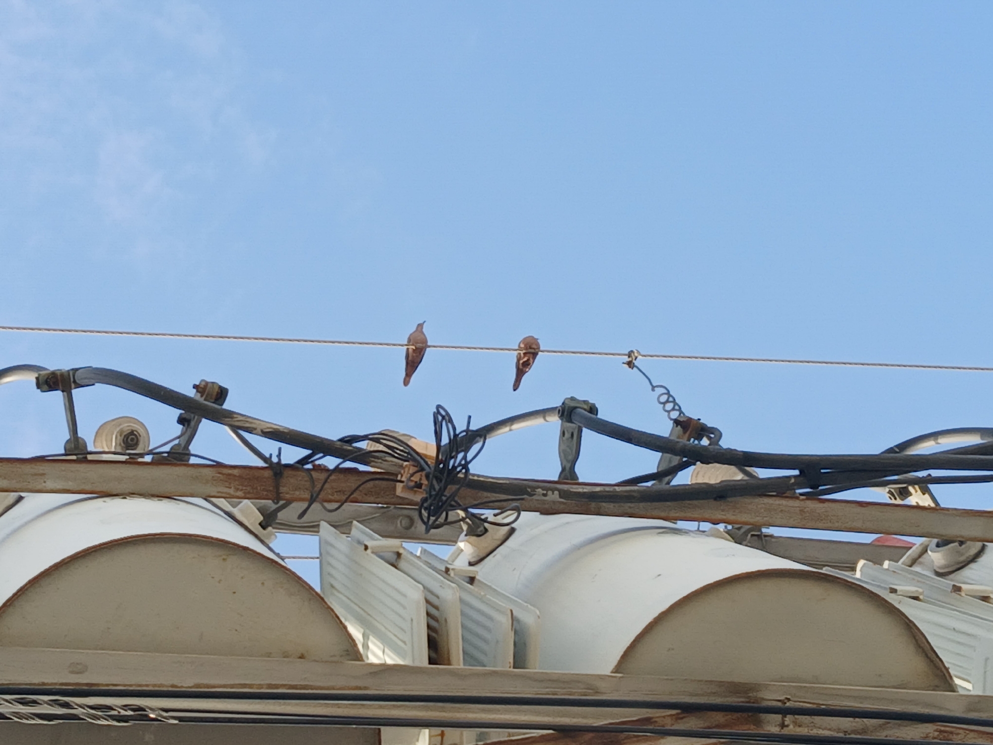 Two birds perch on a wire extending across the top of a structure in Ciudad Guayana, Venezuela. The structure appears industrial, featuring cylindrical white containers and intricate metal frameworks with wires and attachments. The sky is light blue and nearly cloudless.
