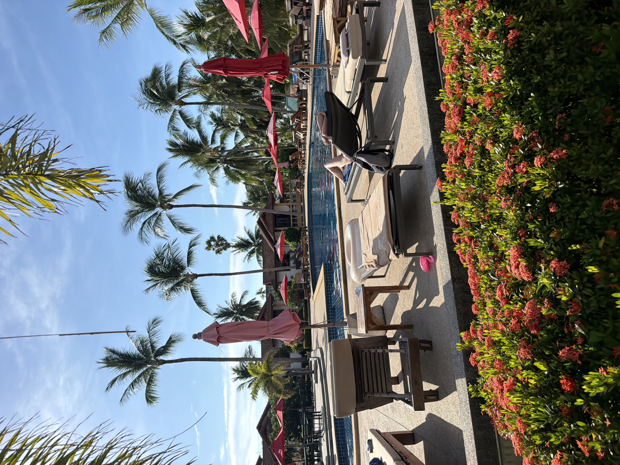 A person is lying on a lounge chair by a swimming pool in Baan Tai, Thailand. The scene is tropical, with numerous palm trees visible in the background. Red umbrellas and pink umbrellas are set up around the pool area, providing shade. The person on the lounge chair is wearing dark clothing and has their arms behind their head. A backpack is placed on the lounge chair next to them. In the foreground, there is a dense hedge of red flowers and green leaves. The sky is blue with some scattered clouds, and the sun is shining, casting shadows on the ground.