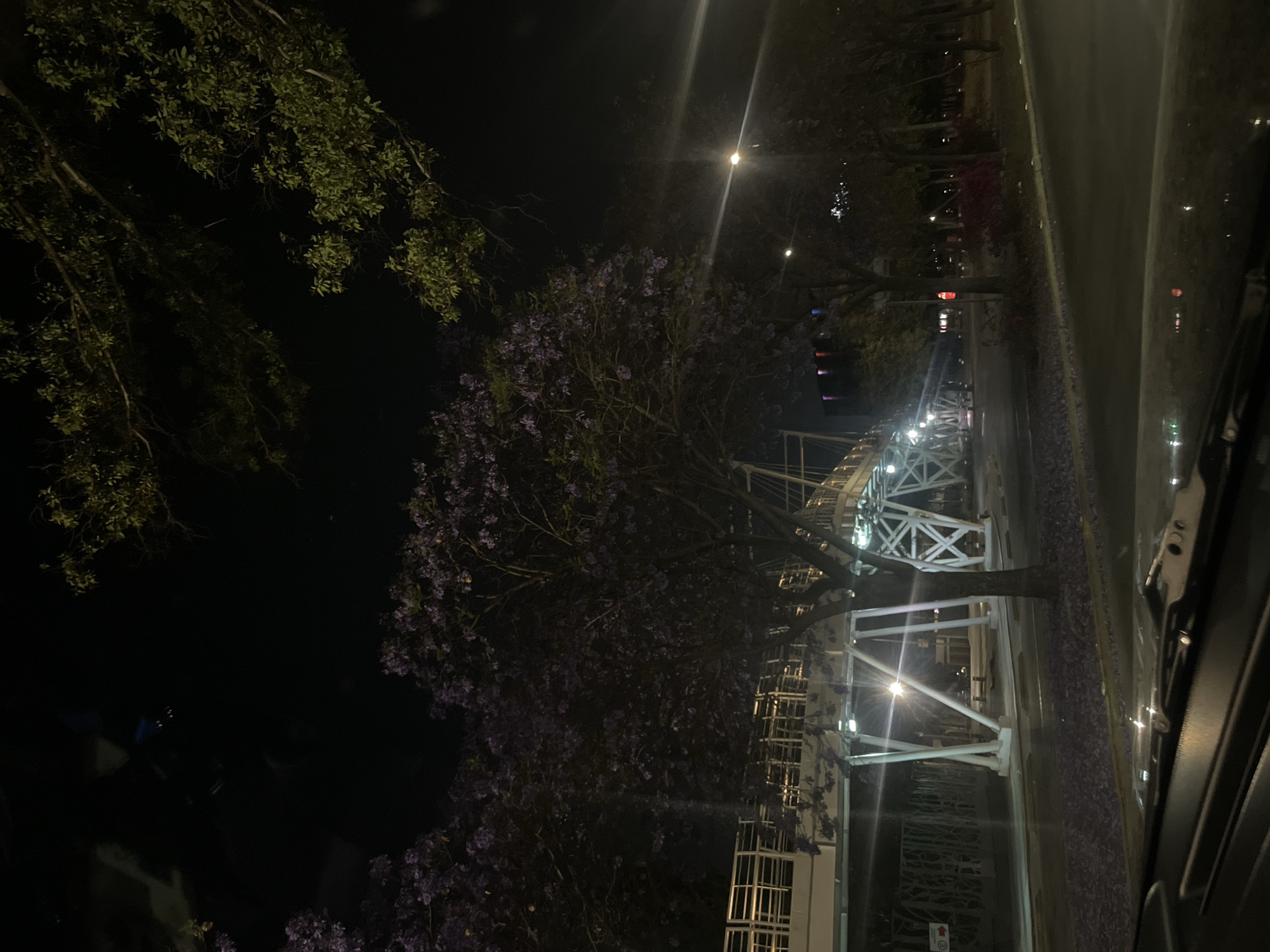 Captured at night in Puebla, Mexico, the scene depicts a sidewalk and the edge of a road, potentially from within a vehicle. A jacaranda tree in full bloom, its purple flowers scattered on the ground, stands next to a light-colored, multi-level pedestrian overpass. The overpass is constructed of metal and has a complex structure with visible beams and railings. Streetlights illuminate the area, creating a stark contrast between the brightly lit overpass and the dimly lit surroundings. The road appears wet, reflecting the light. To the left, above the tree, are the dark silhouettes of other trees against a dark sky.
