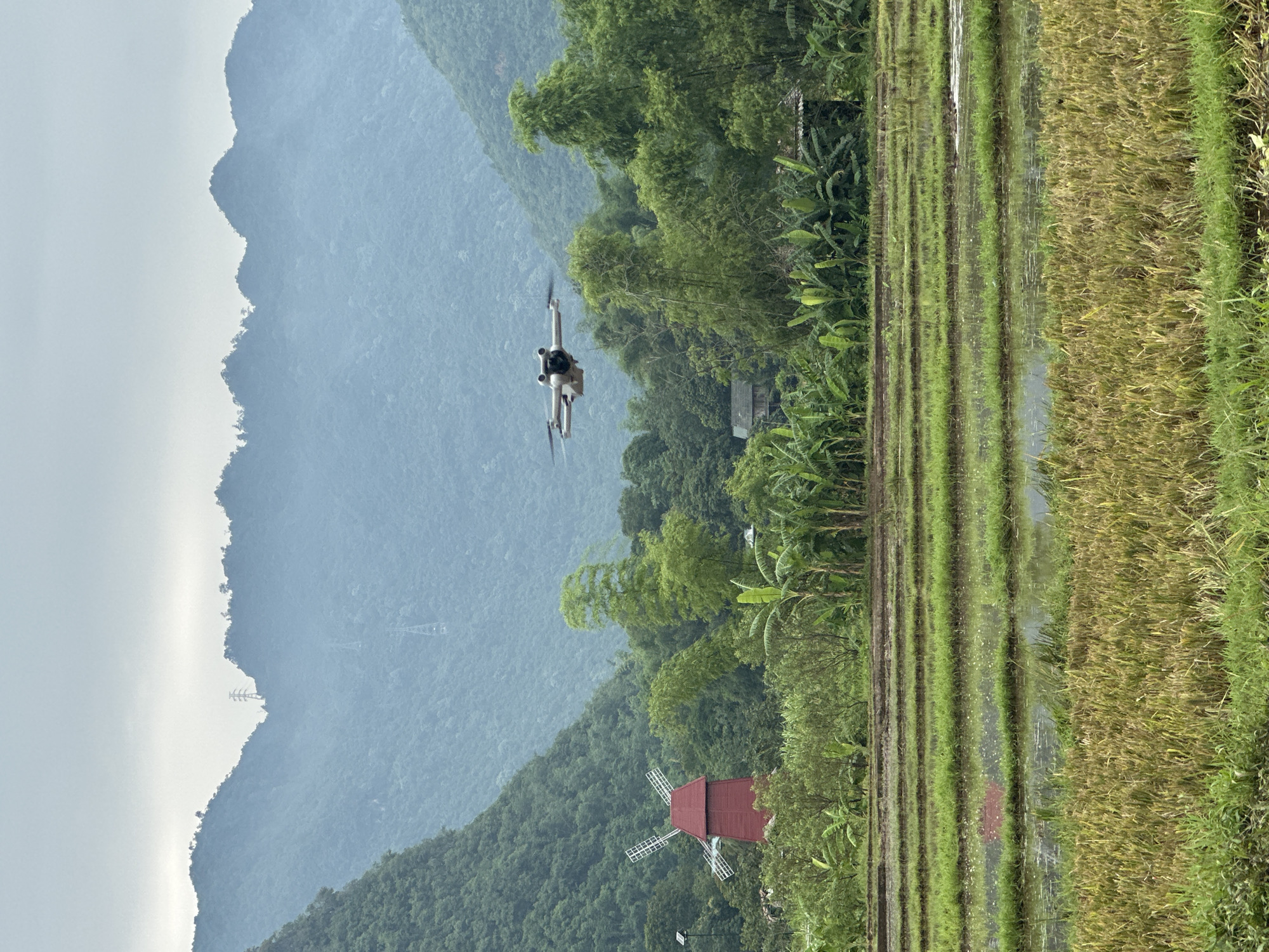 This photograph, taken in the vicinity of Mai Chau, Vietnam, depicts a pastoral landscape under an overcast sky. In the foreground, terraced rice paddies are visible, with some sections appearing flooded and others harvested, displaying hues of green and yellow. A red, Dutch-style windmill stands prominently to the left of the frame, set against a backdrop of lush green trees and vegetation. In the mid-ground, a drone hovers in the air, its metallic body contrasting with the natural surroundings. Behind the trees, distant mountains rise, shrouded in a soft, misty haze that obscures their finer details, with the faint outlines of electricity pylons visible on their slopes. The overall scene conveys a sense of tranquility and rural life.
