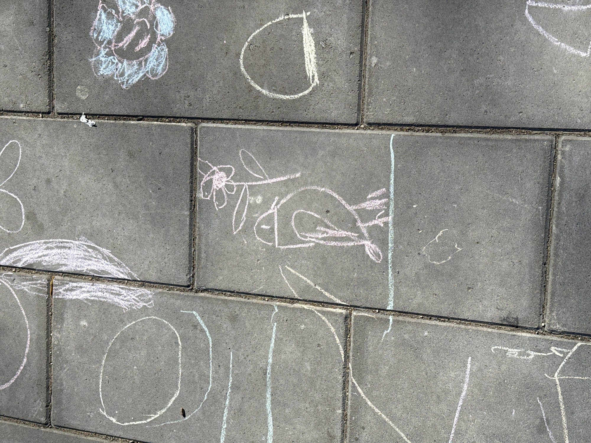 The image shows a section of interlocking grey pavement blocks with children's chalk drawings on them. The drawings include a flower, the letter "D", a bird with a flower, and what appears to be partial letters and other shapes. The scene is a close-up view of the pavement and provides no clues regarding the location. Borzya, Russia, is not discernible.