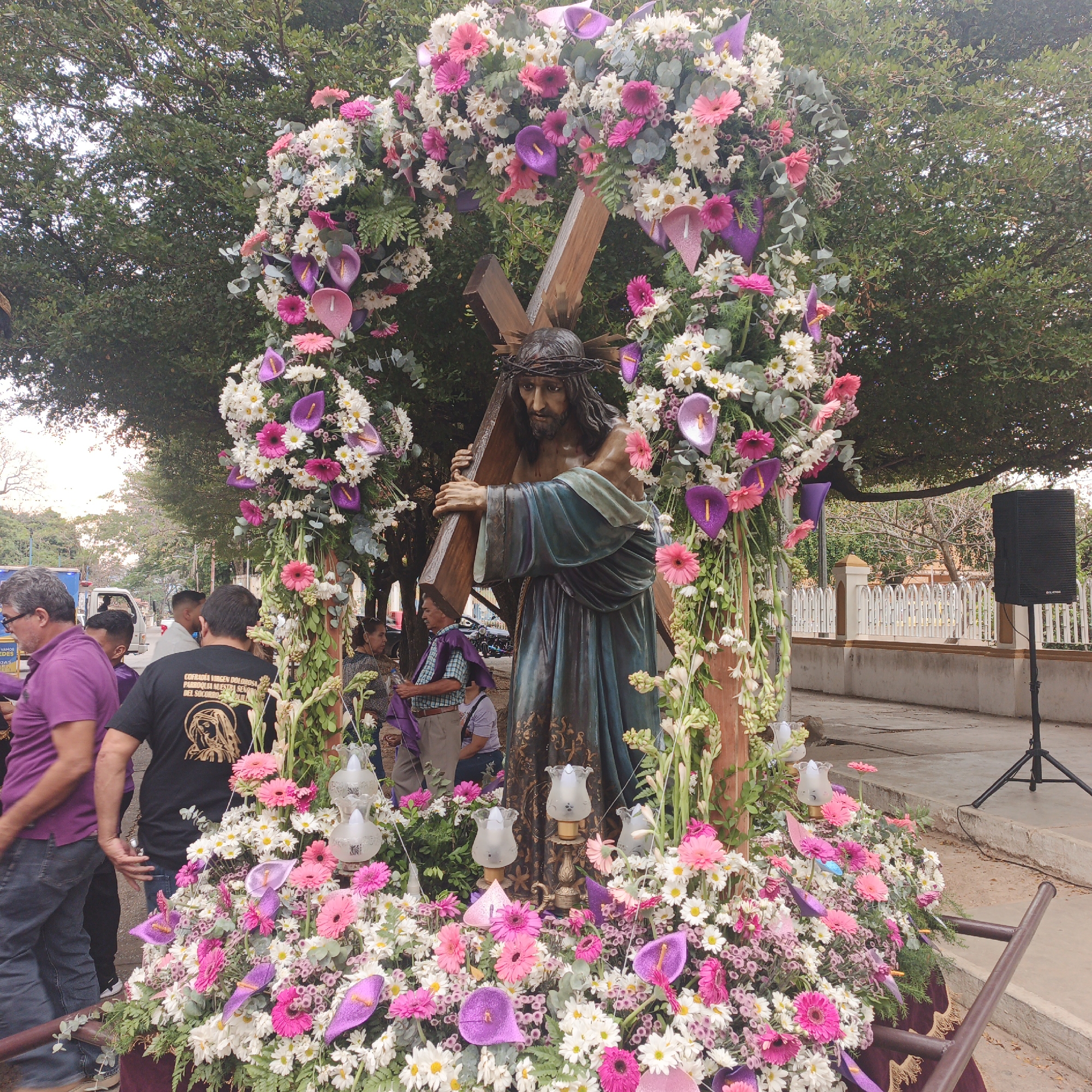 The image depicts a religious procession in Tinaquillo, Venezuela. A statue of Jesus Christ carrying the cross is heavily adorned with pink and white flowers, including daisies and calla lilies, arranged in an arch and at the base of the statue. Several glass-shaded lamps are interspersed among the flowers at the base.
Several people are present, including men wearing purple shirts and a man in a black shirt with a religious image on the back. The group appears to be carrying the statue on a platform or stand.
In the background, there are trees, a sidewalk, a speaker on a stand, and a white fence with arched accents. A few vehicles are also visible further in the background. The scene seems to be taking place on a street or public area.