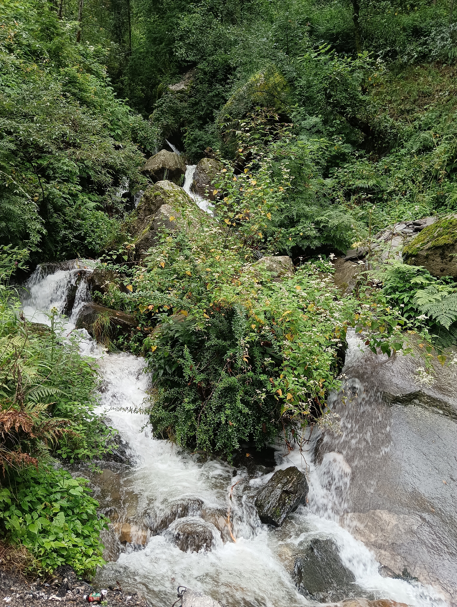 The image depicts a cascading stream flowing over moss-covered rocks amidst lush green vegetation. The water is turbulent, creating white foam as it tumbles down. The surrounding area is densely wooded, with various shades of green from trees and ferns. The terrain appears to be natural and somewhat rugged, typical of a mountain stream. In the foreground, a small cluster of white wildflowers with yellow centers grows on a bush. The overall impression is one of a serene and untouched natural landscape. The location is Vashisht, India.