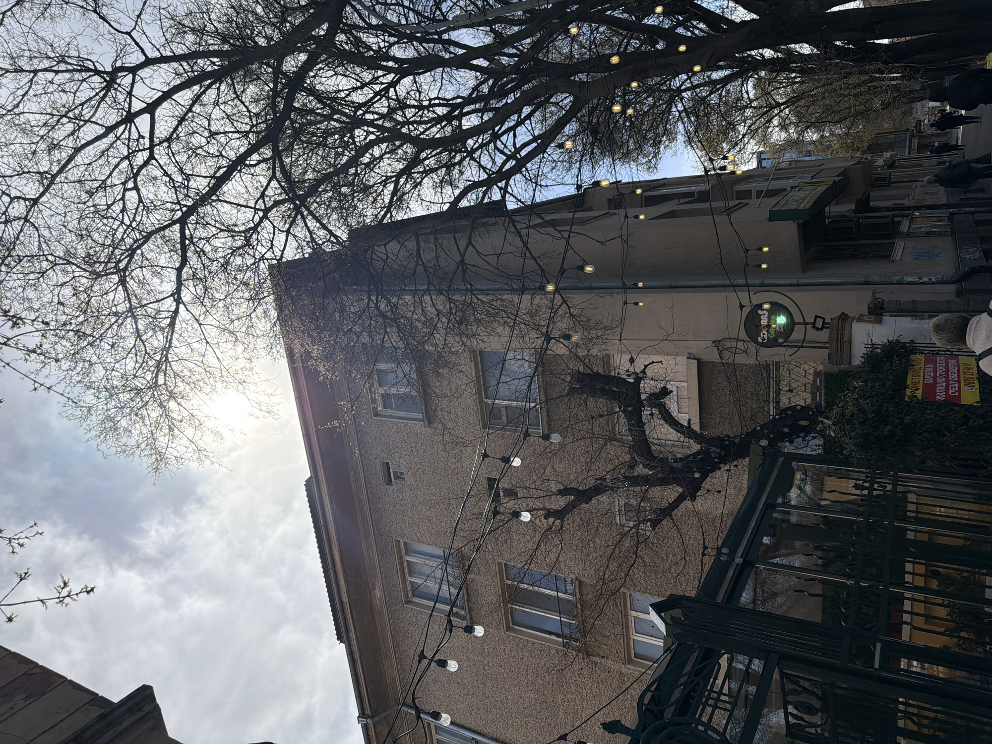The image presents a low-angle view looking upwards at a street scene in Varna, Bulgaria, on a bright, cloudy day, likely late winter or early spring.
A multi-story building with a light-colored, textured facade occupies the right side of the frame. It features several rectangular windows with light frames. A green awning is extended over one of the windows on an upper floor. Below, a round green sign with white text reads "CEDRAS GARDEN." An ornate, dark metal railing, possibly part of a balcony or fence, is visible in front of the building's lower section. Further right, a red and yellow poster displays Cyrillic text: "ПОМЕЩЕНИЯ ЗА ЖИЛИЩНИ СТРОИТЕЛСТВО СРЕЩУ ОБЕЗЩЕТЕНИЕ" (Premises for residential construction against compensation) and a phone number "0889 20 10 1." Several indistinct figures of people are visible on the far right, suggesting pedestrian activity.
Dominating the left and upper portions of the image are the intricate, bare branches of a large tree, silhouetted against a bright, cloudy sky. Sunlight pierces through the clouds and branches, creating a sun flare effect in the upper left. Strands of string lights with exposed bulbs are draped through the tree branches and extend towards the building, with some of the bulbs appearing to glow, adding a decorative element to the urban landscape. The overall atmosphere is calm, capturing a moment in a bustling city with a blend of architectural and natural elements.