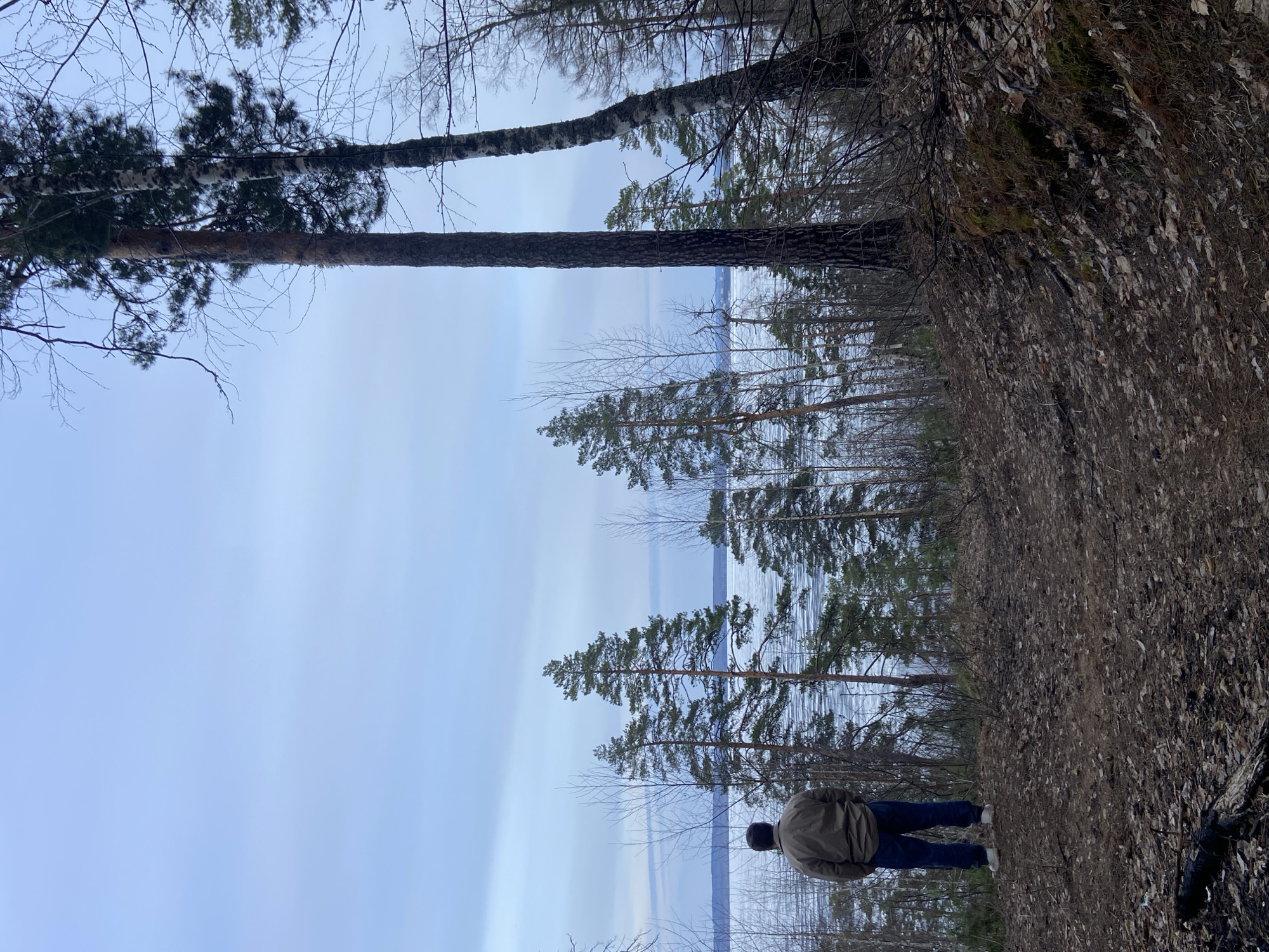 A person stands on the edge of a wooded area looking out over a body of water, possibly a lake or reservoir, in the city of Chaikovsky, Russia. The individual is wearing a jacket and jeans, with their back to the viewer. Trees frame the scene, with some tall, bare trees in the foreground and more densely packed evergreen trees lining the water's edge. The sky is overcast, creating a muted color palette throughout the image. The ground is covered in dead leaves and underbrush. The water appears calm, with a gray-blue hue reflecting the sky.