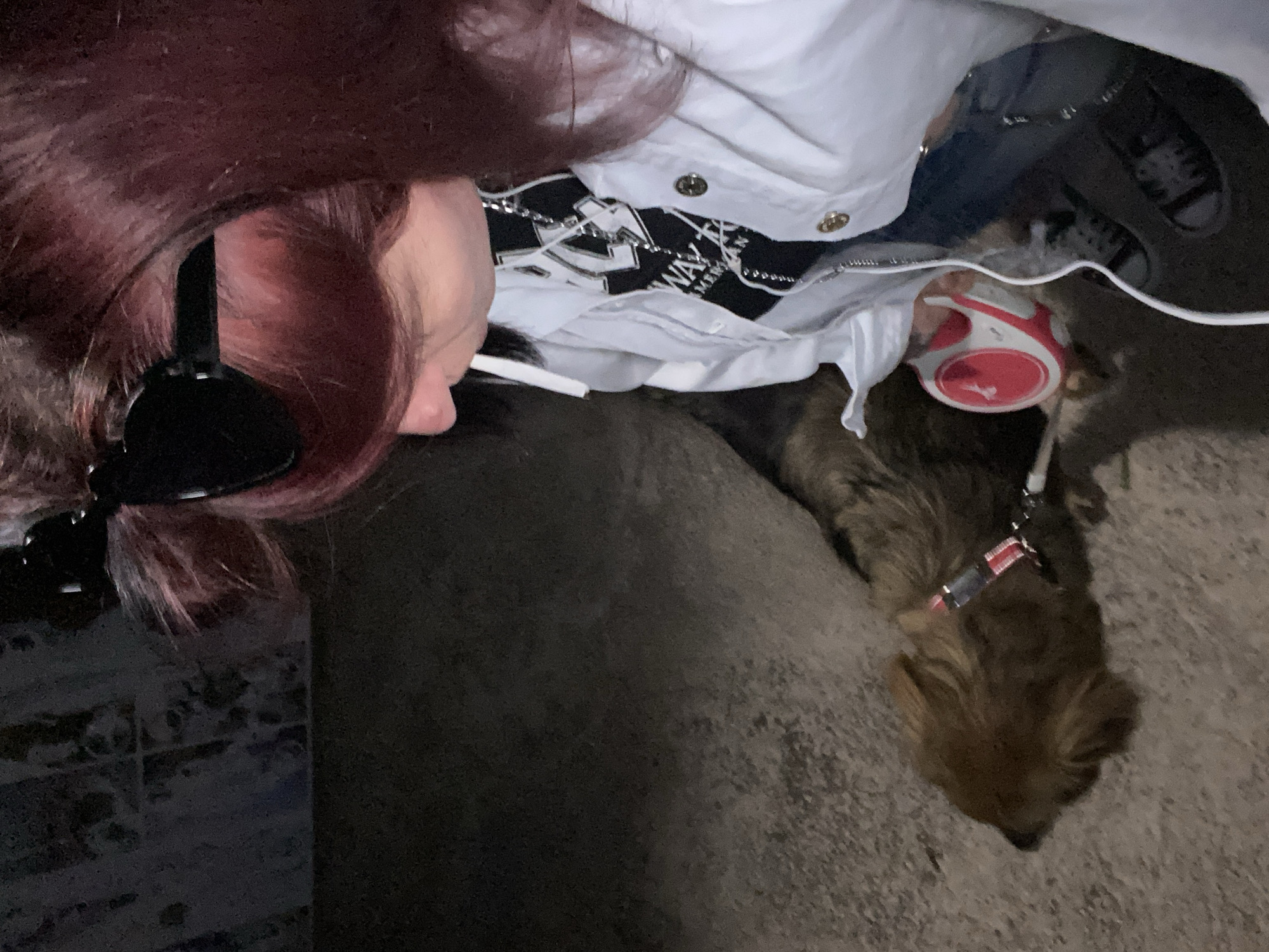 The image presents an individual with dark red hair wearing headphones and a white jacket over a black shirt. The person is walking a brown dog on a red and white retractable leash. The location is potentially an outdoor environment, characterized by dark asphalt and possible brickwork on the left edge of the photo. The focus of the image is on the person and dog during what appears to be a walk. The Bar, Montenegro location is not discernable in the image.