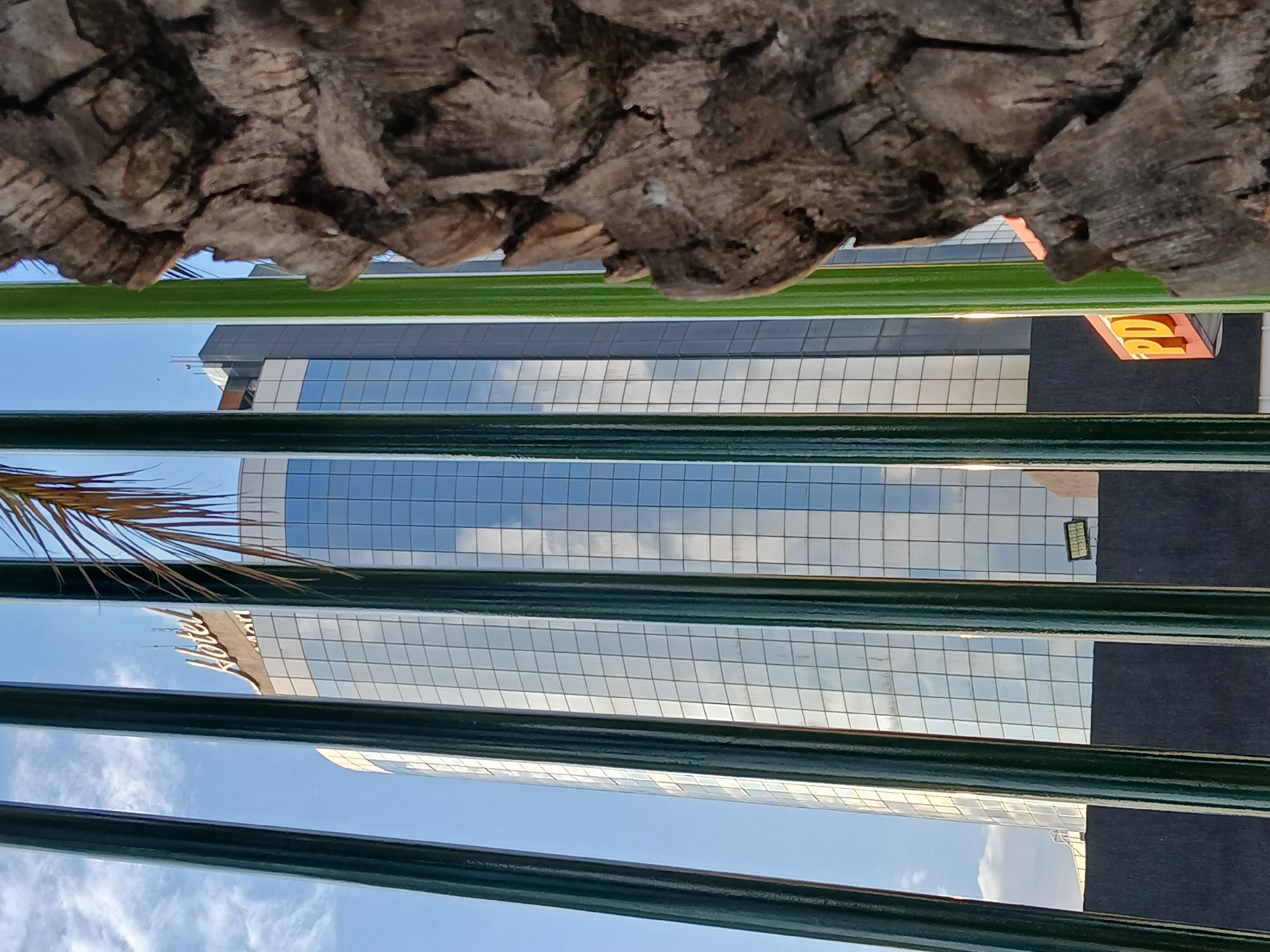 The image shows a view of a building with a glass facade, reflected in what appears to be a green metal fence. Part of a palm tree trunk is visible at the top of the frame. The building seems to be the Hotel Rasil, located in Ciudad Guayana, Venezuela. A sign reading "HOTEL" can be partially seen. A rectangular light fixture is attached to the building. The sky is blue with scattered clouds, reflected on the building's glass panels. A few leaves from the palm tree are visible.