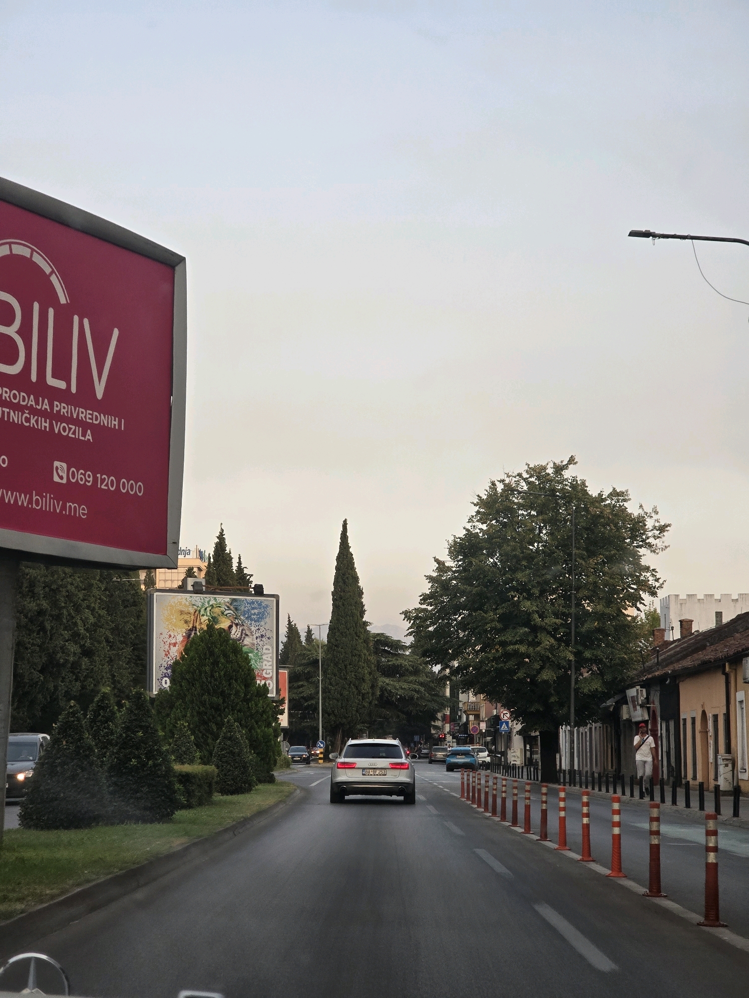 This is a wide shot taken from a vehicle driving on a multi-lane road in Podgorica, Montenegro, likely during the day, given the ambient light. The sky is overcast and light gray, suggesting cloudy or hazy weather. On the left side of the road, a large, bright pink billboard for "BILIV" is prominently displayed, advertising the sale of commercial and passenger vehicles, with a phone number and website listed. Further down the road on the left, a billboard with a colorful image of a tiger's face is visible, partially obscured by manicured evergreen bushes.
The road itself is asphalt, with visible lane markings. Several cars are on the road, including a white Audi in the foreground, its rear end facing the camera, and a dark colored vehicle behind it. Further ahead, other vehicles, including a light blue one, are visible. The right side of the road features a sidewalk lined with black bollards and orange traffic cones. Buildings with orange and yellow facades and tiled roofs are situated along the sidewalk, some with air conditioning units visible. A single person, a man wearing a white t-shirt and light-colored pants, is walking on the sidewalk. Tall, dark green cypress trees and a large, leafy deciduous tree are interspersed with the buildings and along the road, contributing to a somewhat urban park-like feel. A street lamp with a dark fixture is visible in the upper right portion of the image. The foreground of the image shows a small portion of a vehicle's interior, possibly a dashboard or hood ornament, indicating the photographer's perspective.