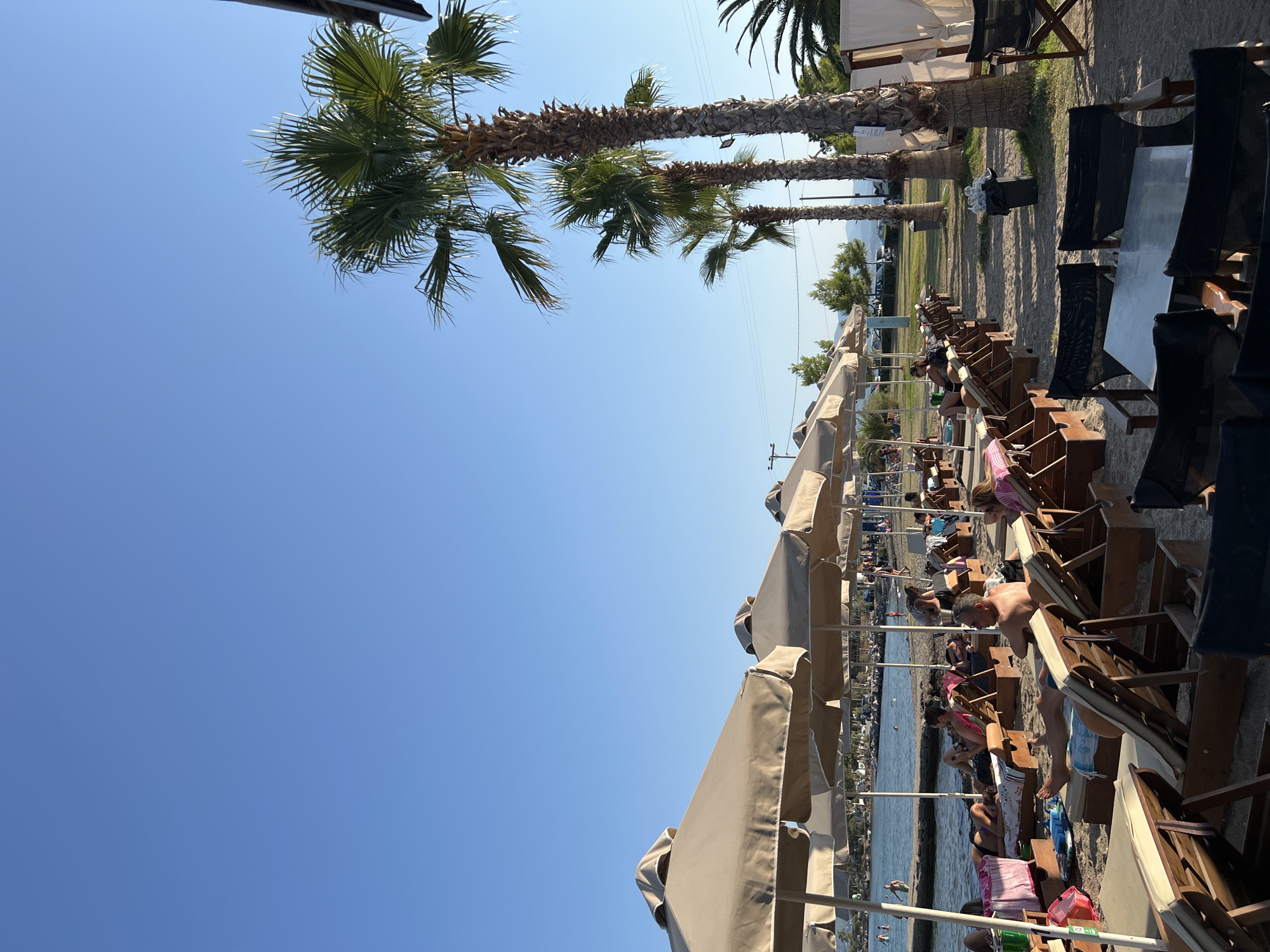 The image depicts a beachfront scene in Eretria, Greece, under a clear blue sky. The foreground is dominated by rows of empty and occupied lounge chairs set up on a sandy beach. Several beach umbrellas provide shade over some of the chairs. Palm trees are visible along the edge of the beach, some of them tall and mature, while others are smaller. In the background, the Aegean Sea is calm, with a few people visible in the water and on a stone jetty. Further back, there is a grassy area with more trees and some parked cars. The overall atmosphere is relaxed and suggests a typical day at a seaside resort.