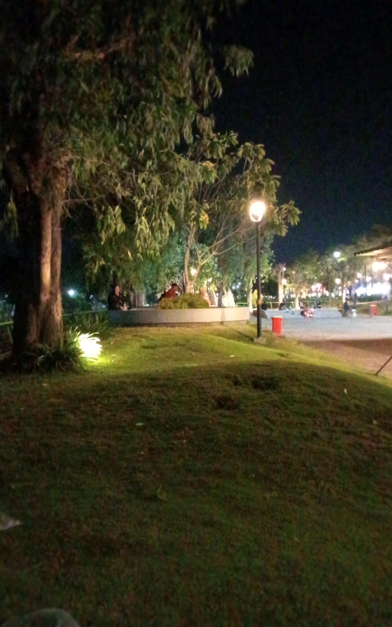 The image depicts a nighttime scene in a park area, likely within the city of Ngasem, Indonesia, given the context. In the foreground, a grassy slope curves upwards. To the left, a large tree trunk is visible, illuminated by a bright, artificial light source casting a glow on the surrounding grass. Beyond the slope, a paved area is visible, with a streetlamp casting a warm light. Several trees with dense foliage are scattered throughout the park, illuminated by various lights. In the middle ground, a raised circular planter filled with shrubs is partially visible. A few individuals are seated or walking in the background, their forms indistinct due to the low light. Red trash receptacles are placed along the paved area. The overall atmosphere is tranquil and illuminated by artificial lights, suggesting a public space utilized during the evening.