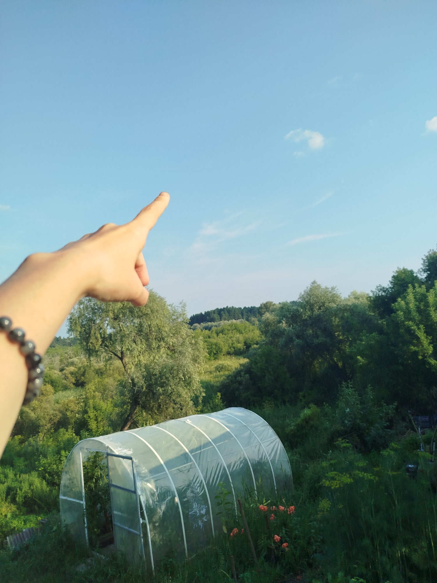 This is a medium shot, taken outdoors, showing a person's left arm and hand pointing upwards towards a clear blue sky with a few small white clouds. The person is wearing a bracelet made of dark, round beads. The background features a lush green landscape of trees and foliage, with a clear sky overhead. In the foreground, to the right of the arm, is a white, arched greenhouse, partially open. The scene appears to be set in a rural or garden area, possibly a dacha (summer house) location given the greenhouse and natural surroundings. The lighting suggests it is daytime, likely late afternoon or early evening due to the warm tones and long shadows if they were visible. The weather appears to be clear and pleasant. There is no visible text in the image. The focus is on the gesture of pointing and the expansive natural setting.