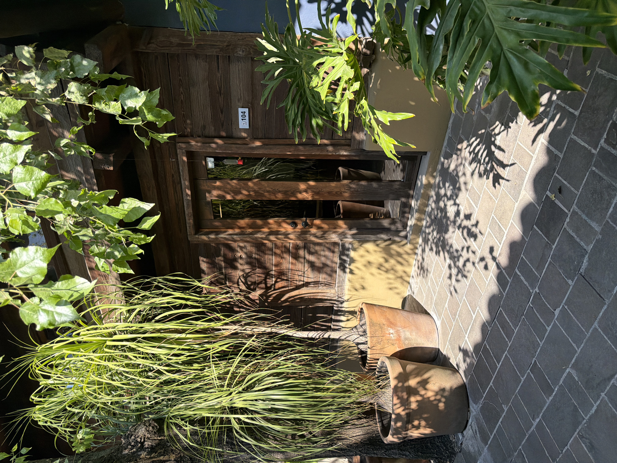 The image shows a wooden door with a small sign reading "104," plants, terracotta pots, and a brick walkway. The location is Puebla, Mexico. The door appears to be the entrance to a building, and the plants and pots are arranged around it. The scene is bathed in sunlight, creating shadows on the door and walkway. There are no people visible in the image.