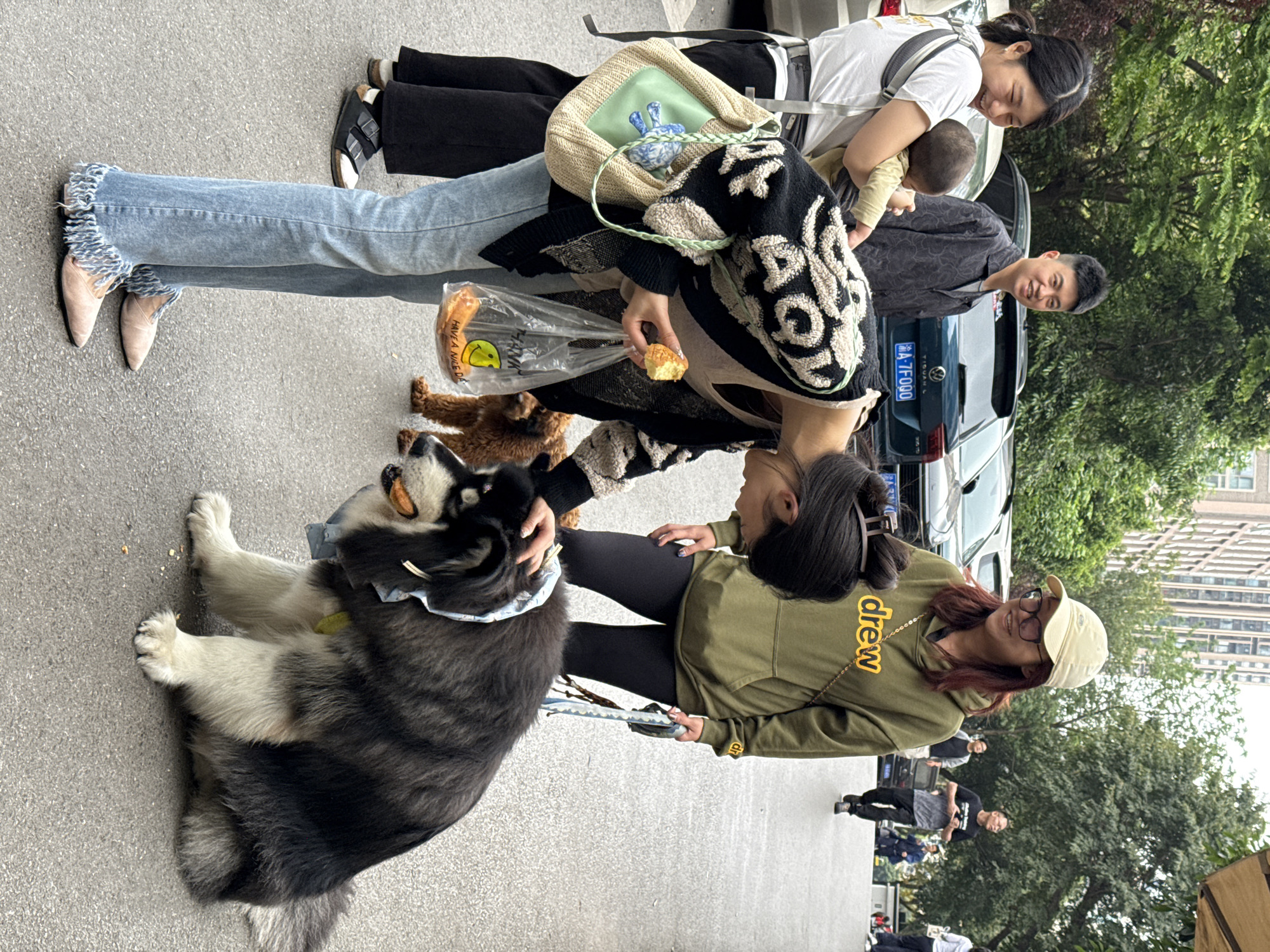 In Yuzhong District, China, the image depicts a street scene with several people interacting with each other and a large dog. The dog, a husky or malamute type, is sitting on the pavement and is being petted by a woman wearing a green sweatshirt with the word "drew" printed on it. Another woman, wearing a black and white sweater, appears to be feeding the dog a piece of bread from a plastic bag.
In the background, a woman is holding a baby while a man stands next to her. A car is parked nearby, with a license plate visible bearing the characters "津 A TF000".
The environment suggests an urban setting, with trees and a building visible in the background. Other individuals can be seen walking further down the street.