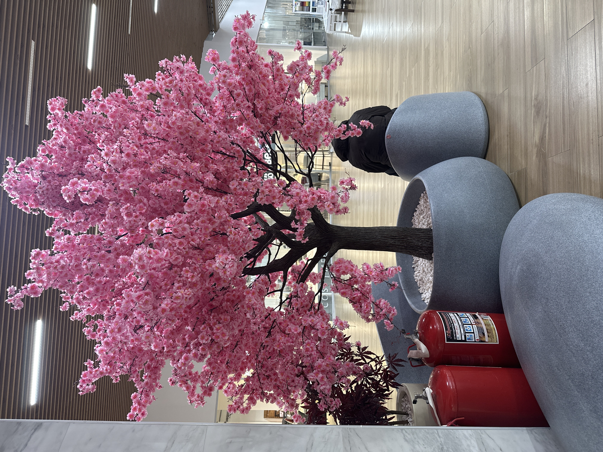 The image shows an indoor public space, possibly a shopping mall or commercial building, featuring a large artificial cherry blossom tree as a decorative element. The tree has a profusion of pink flowers. Its trunk and branches are dark brown.
Next to the tree are several rounded, gray seating structures. Near the base of the tree, in a pot filled with white stones, are two red fire extinguishers. A small, dark-leafed plant is visible near the base of the tree.
In the background, through a glass partition, there are hints of a brighter, open space with possibly shops or other commercial establishments. People are present in the background, but they are not the main subject of the image.
Based on the information, the location is Izhevsk, Russia, where these features are present in a shopping mall.