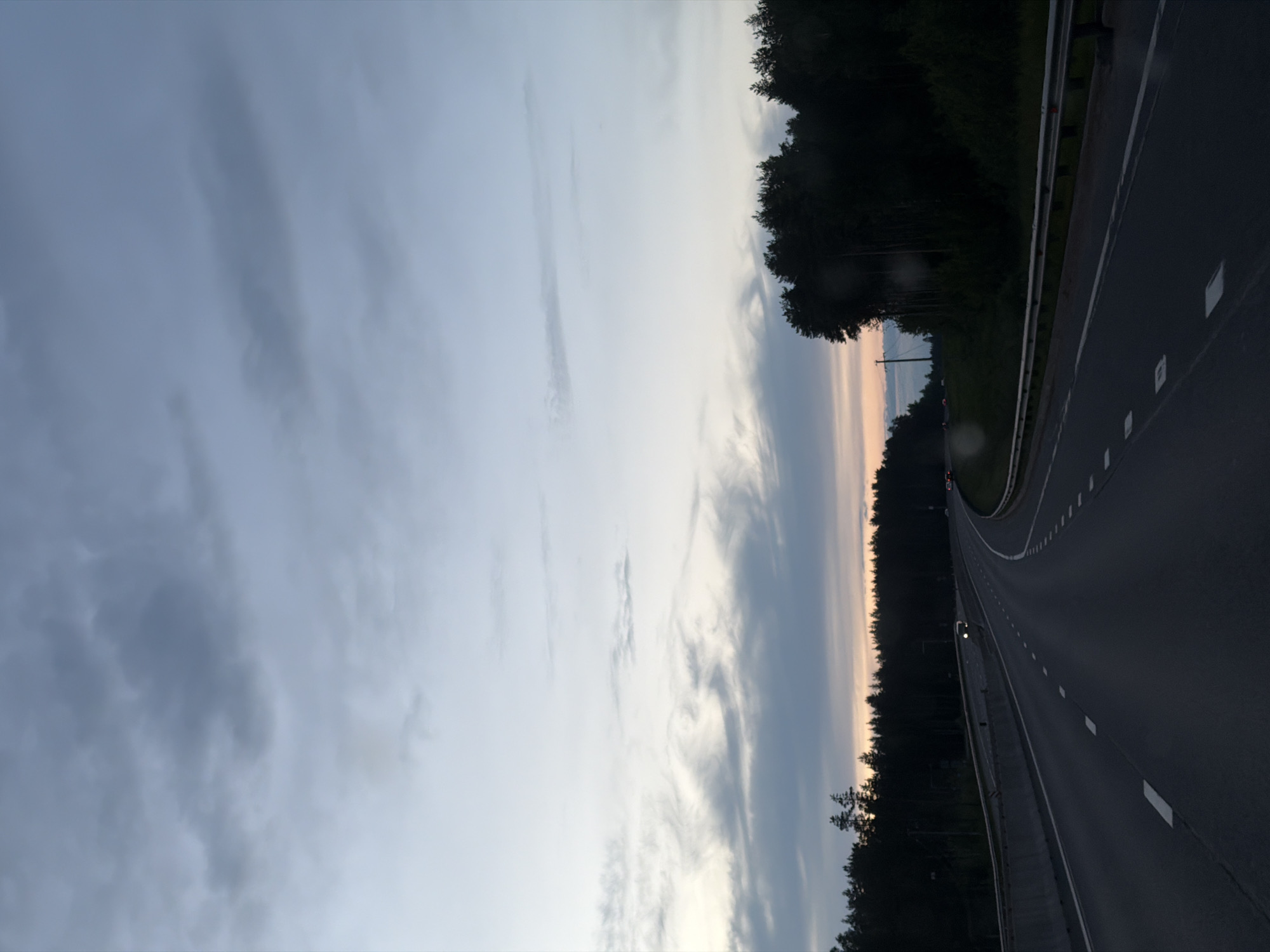 The image depicts a wide, multi-lane highway at dusk or early night, extending into the distance under a vast, cloud-filled sky. The road, appearing dark under low light conditions, features distinct white lane markings, including dashed lines for lanes and a solid white line along its shoulder. A metal guardrail runs parallel to the right side of the road, separating it from the dense, dark silhouette of trees that line the horizon on both sides.
The sky above displays a dramatic transition from light grey and white clouds on the left to darker, more ominous grey clouds towards the right. A soft, warm glow of orange and pink is visible along the distant horizon, hinting at a recent sunset. In the far distance along the highway, faint lights, likely from other vehicles, can be observed. The overall atmosphere is serene but dark, emphasizing the vastness of the landscape during twilight. No visible text is present. This scene is situated in the vicinity of Vaskelovo, Russia.