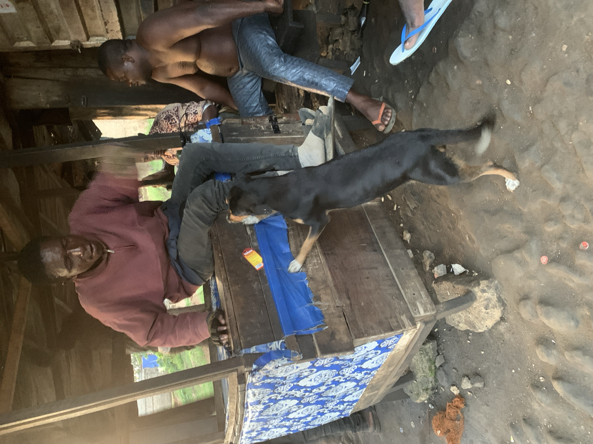 In Shagamu, Nigeria, a scene unfolds in a rustic, open-air setting, possibly a market stall or informal gathering place. The environment is characterized by rough wooden structures and a dusty ground littered with small debris. Sunlight casts a warm glow, suggesting it's either early morning or late afternoon.
The central focus is a man sitting on the edge of a wooden structure. He is wearing a pinkish-red half-zip sweatshirt and dark pants. His hands, covered with what appear to be gardening gloves, are resting on the wooden surface. He appears to be looking down or perhaps speaking to someone.
To his right, another man is seated, shirtless, revealing his chest and stomach. He is wearing patterned, possibly metallic, grey trousers and is looking to his left, seemingly engaged in conversation or observing something happening off-frame.
In front of the seated man, a medium-sized black dog is standing on its hind legs, with its front paws reaching towards the wooden structure. The dog's posture suggests it is interacting with the man, perhaps begging for attention or food. The dog's tail is partially visible, and its rear legs are planted on the ground.
Behind the first seated man, a glimpse of a third individual is visible, wearing a patterned shirt. This person is less distinct, positioned further back within the structure.
The wooden structure itself is rudimentary, constructed from planks of wood. It is adorned on one side with a piece of blue and white patterned fabric. A bright blue tarp is draped along the edge of the structure. A yellow and red packet, possibly food or a snack, is visible on the surface.
The ground is uneven and covered in fine, dry soil. Rocks and stones are scattered around the base of the structure, with some supporting its legs. Discarded items, including what looks like a crumpled orange net-like object and red bottle caps, are present on the ground. Further to the right, a person's feet are visible, wearing blue flip-flops. Another pair of feet, wearing orange flip-flops, are also visible near the seated shirtless man.