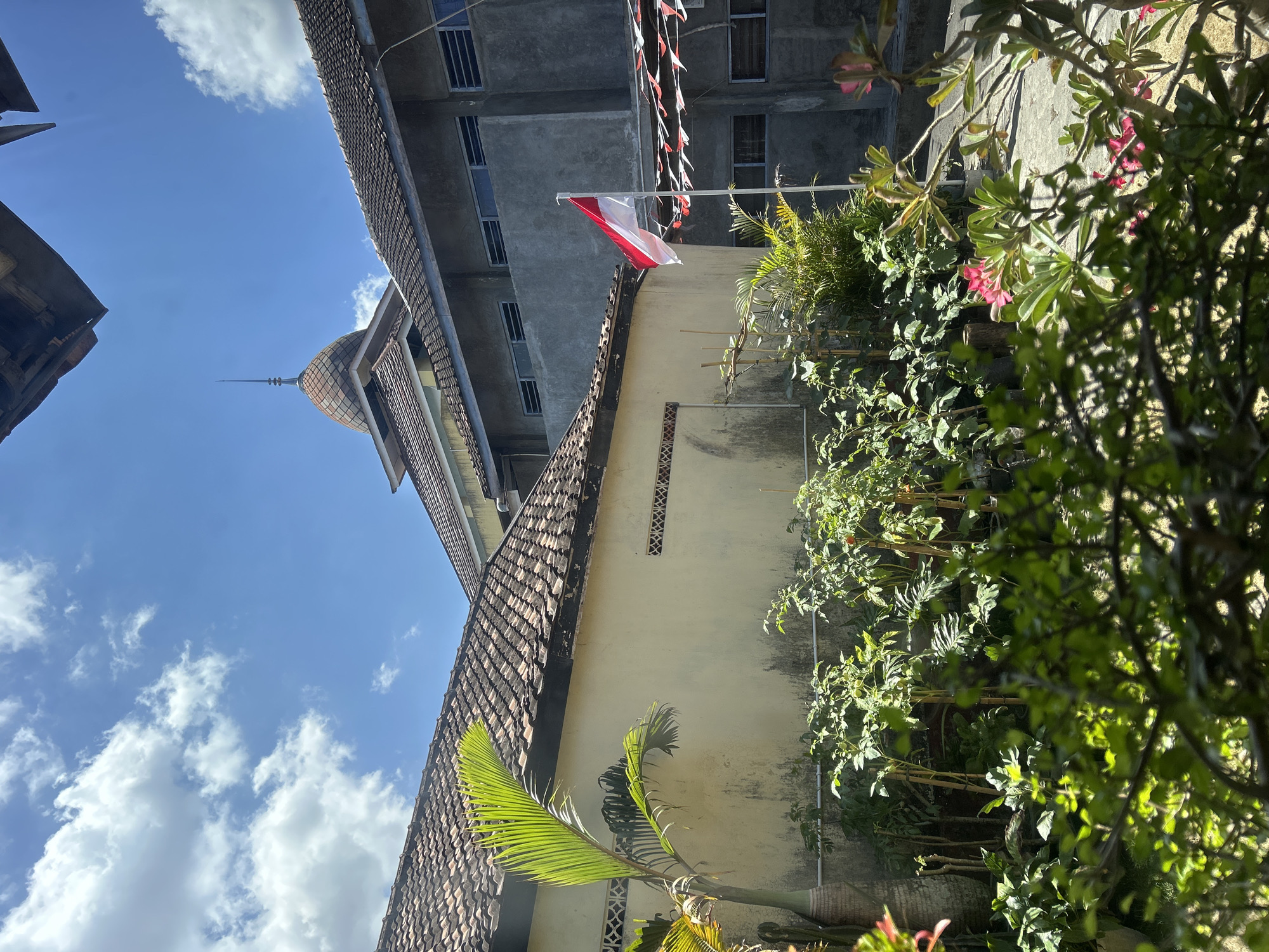 In Playen, Indonesia, a red and white Indonesian flag stands proudly on a flagpole in front of a building. The flag, representing the nation's colors, is caught by a gentle breeze. Behind the flag, a two-story building with grey concrete walls and numerous windows lines the background. These windows appear to be louvered, suggesting ventilation rather than clear views. The building's architecture is functional, with visible signs of its construction.
To the left of the grey building, a section of a lighter-colored, older building with a tiled roof is visible. This structure features a prominent, onion-shaped dome topped with a spire, hinting at a building with religious or significant architectural importance, possibly a mosque or a historical structure. The tiled roof is weathered, indicating age.
In the foreground, a vibrant garden thrives under the bright Indonesian sun. Lush green plants, including what appear to be tomato plants supported by bamboo stakes and a palm tree with its distinctive fronds, fill the space. Small pink flowers add pops of color to the scene. The contrast between the verdant foliage and the architectural elements creates a dynamic visual. The sky above is a brilliant blue, dotted with scattered white clouds, typical of a sunny day. The overall impression is one of community, national pride, and a blend of nature and built environment in a tropical setting.