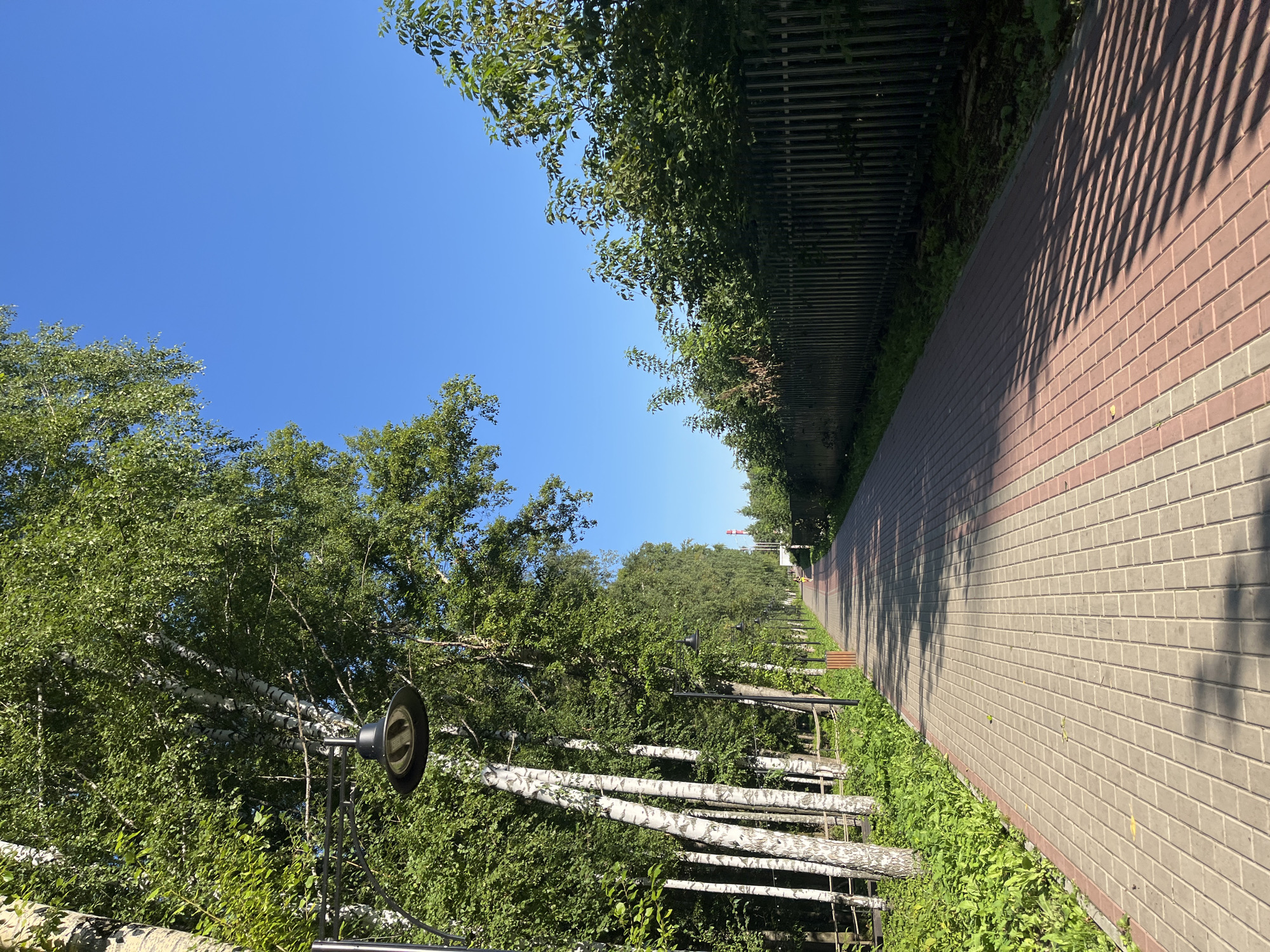 A sunlit paved pathway lined with trees and a fence stretches into the distance under a clear blue sky. The pathway is constructed of light-colored pavers with a red border. On the left, a row of birch trees with distinctive white bark dominates the scene, with lush green foliage overhead. A black lamppost with a distinctive design is visible among the trees. On the right side of the pathway, a dark wooden fence runs parallel to the path, backed by dense green foliage and trees. In the far distance, a small figure, possibly a person running, is visible on the pathway. The scene appears to be a park or a recreational area within the city of Blagoveshchensk, Russia, given the context provided, likely during daytime.