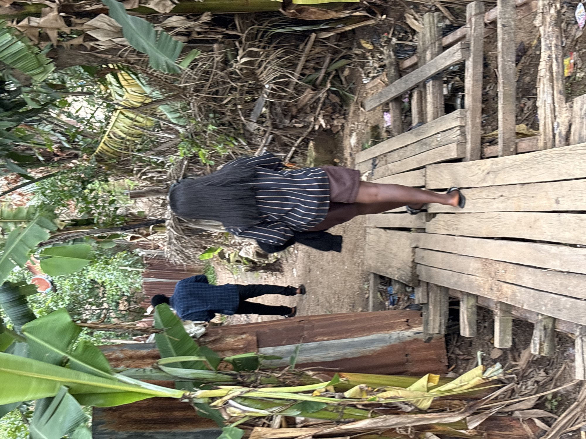The image shows two individuals in an outdoor, semi-rural setting, likely in Jos, Nigeria. The scene is characterized by dense vegetation, including large banana leaves, and a rustic wooden walkway.
In the foreground, a person wearing a black and white striped shirt and brown shorts walks on the wooden planks. Their back is to the camera, and they are wearing dark sandals. Further back, a second person, dressed in a blue checkered shirt and black trousers, also walks on the walkway. They are also facing away from the camera.
The environment appears somewhat unkempt, with dried leaves, branches, and some debris visible around the walkway and in the background. The wooden walkway itself is constructed from rough-hewn planks supported by vertical posts. The presence of lush green vegetation suggests a warm climate. The lighting implies it is daytime, but the exact time of day is difficult to determine. There are no visible signs of text in the image. The overall impression is of a casual, everyday scene in a tropical or subtropical environment.