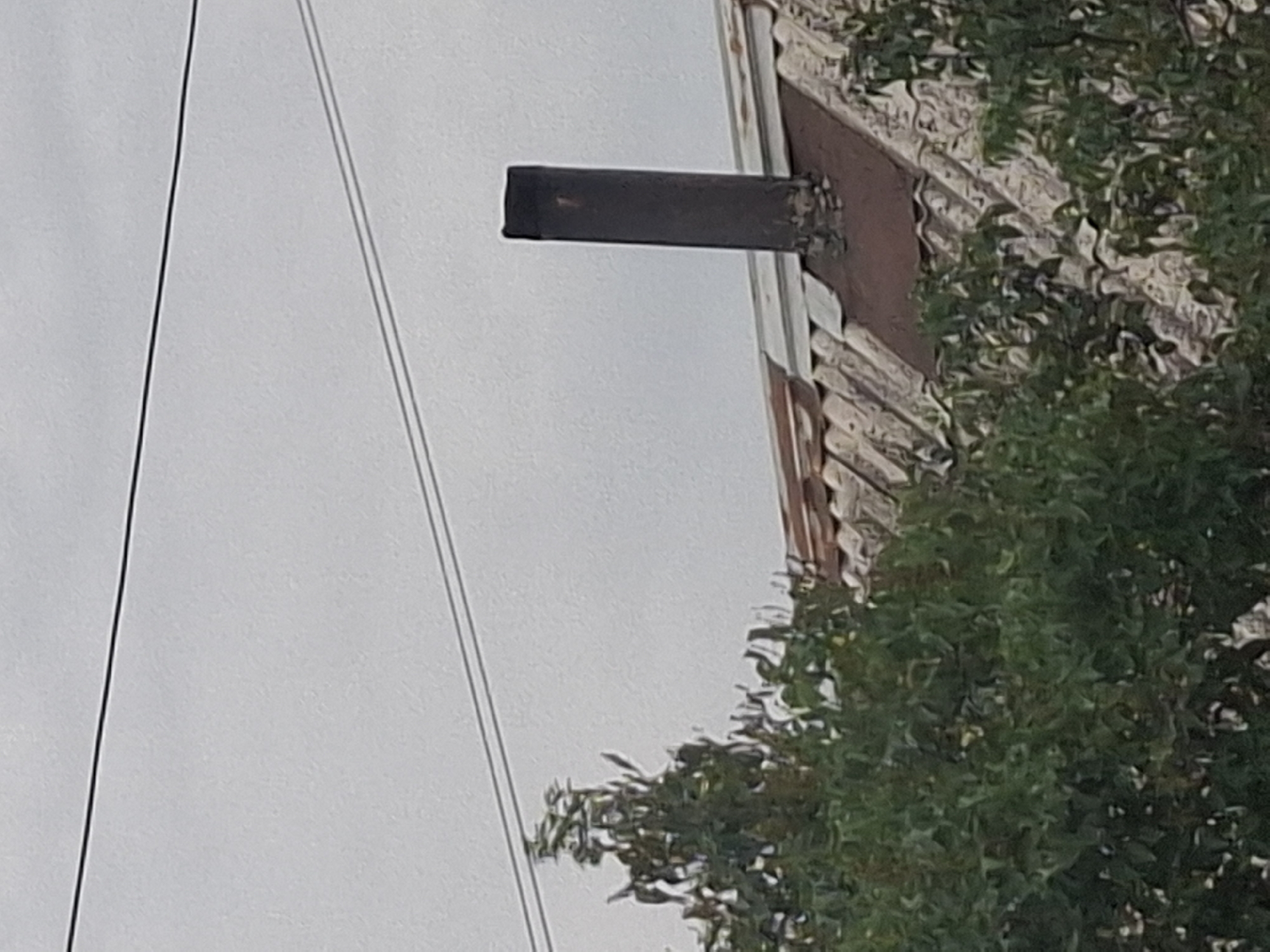 The image shows a close-up view of a rooftop with a chimney, partially obscured by lush green foliage. The rooftop appears to be made of corrugated metal sheets, some of which are rusty. A dark, cylindrical chimney stands vertically on the roof. Two power lines are visible against a pale, overcast sky. The lower portion of the image is dominated by the dense leaves of a tree. The scene is likely from an outdoor residential area, possibly in the city of Almaty, Kazakhstan, given the context. There are no people visible in the image.