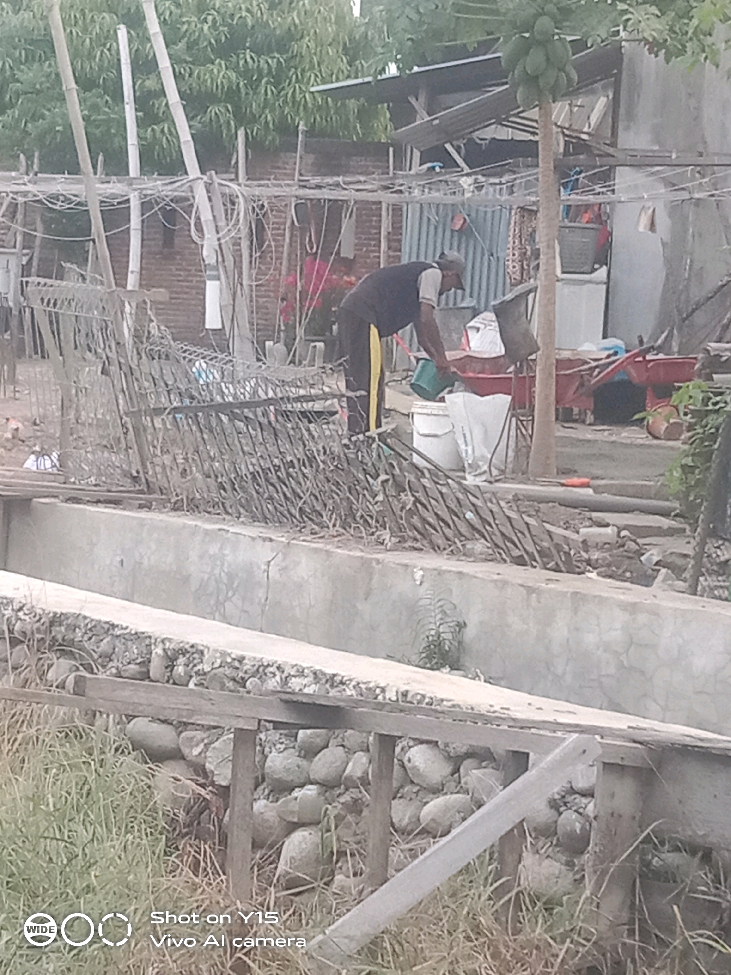 In the city of Beurawang, Indonesia, a man in a dark vest and light-colored shirt is pouring a green bucket of liquid into a white bucket. He is standing next to a red wheelbarrow and a papaya tree laden with fruit. The scene appears to be an outdoor area with some construction or renovation work in progress, indicated by scattered building materials and a wire fence. The environment is somewhat cluttered, with a variety of objects including a plastic container, a red cart, and gardening tools. A concrete structure, possibly a canal or drainage ditch, runs along the foreground, with stones and vegetation visible along its edge. In the background, there are buildings with corrugated metal roofs and brick walls, as well as trees and foliage. The overall impression is of a busy, somewhat informal outdoor workspace.