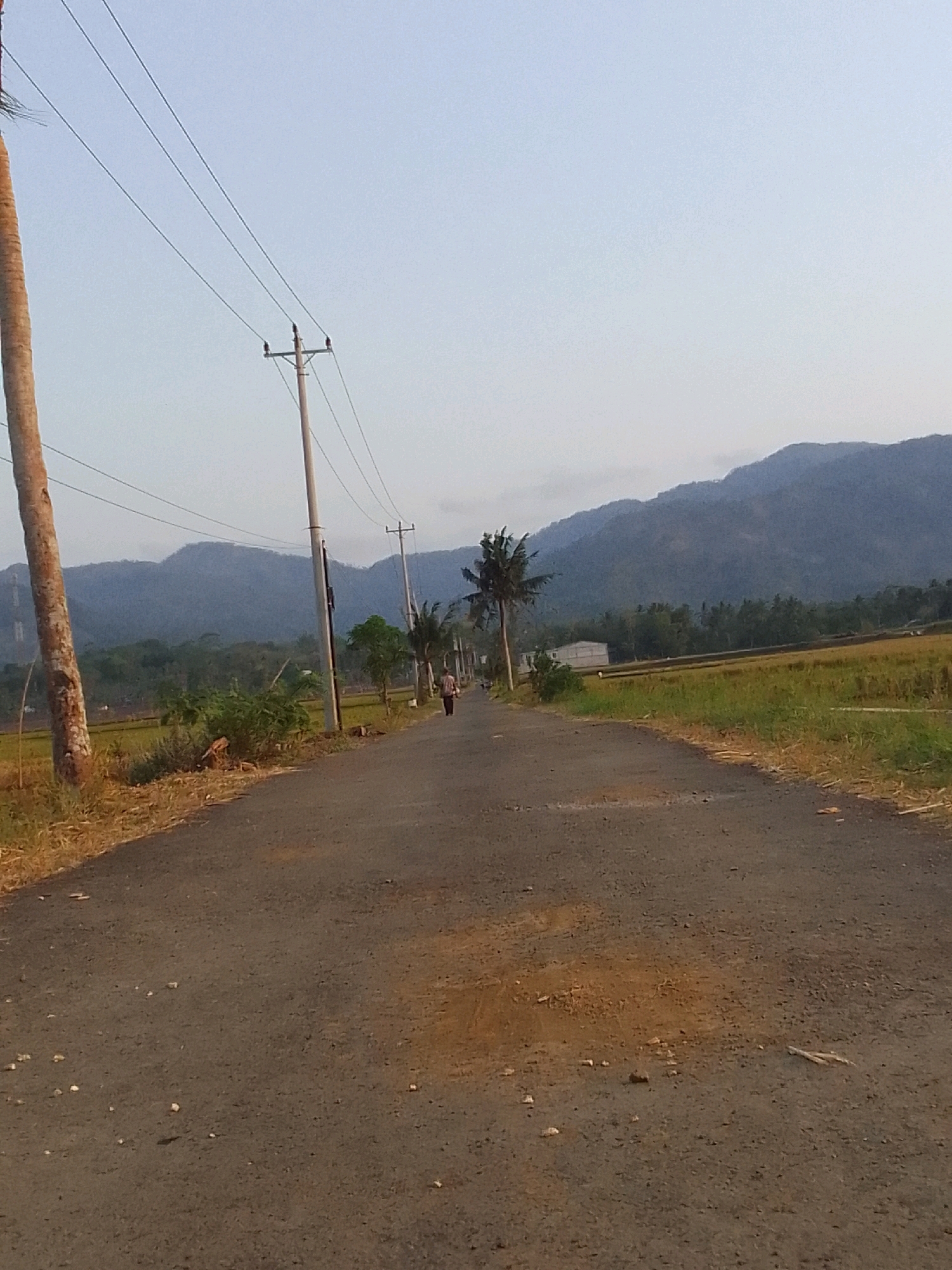 An outdoor, low-angle, full shot captures a paved road that disappears into the distance, flanked by dry, golden grass and fields. In the background, a line of dark green trees leads to a majestic, blue-hued mountain range under a pale, hazy sky. A single, solitary person walks away from the camera on the right side of the road. Telephone poles with power lines are visible on both sides of the road, and a large, weathered wooden post stands on the left. The scene suggests a rural setting in Dermasari, Indonesia, likely in the late afternoon or early morning due to the soft lighting.