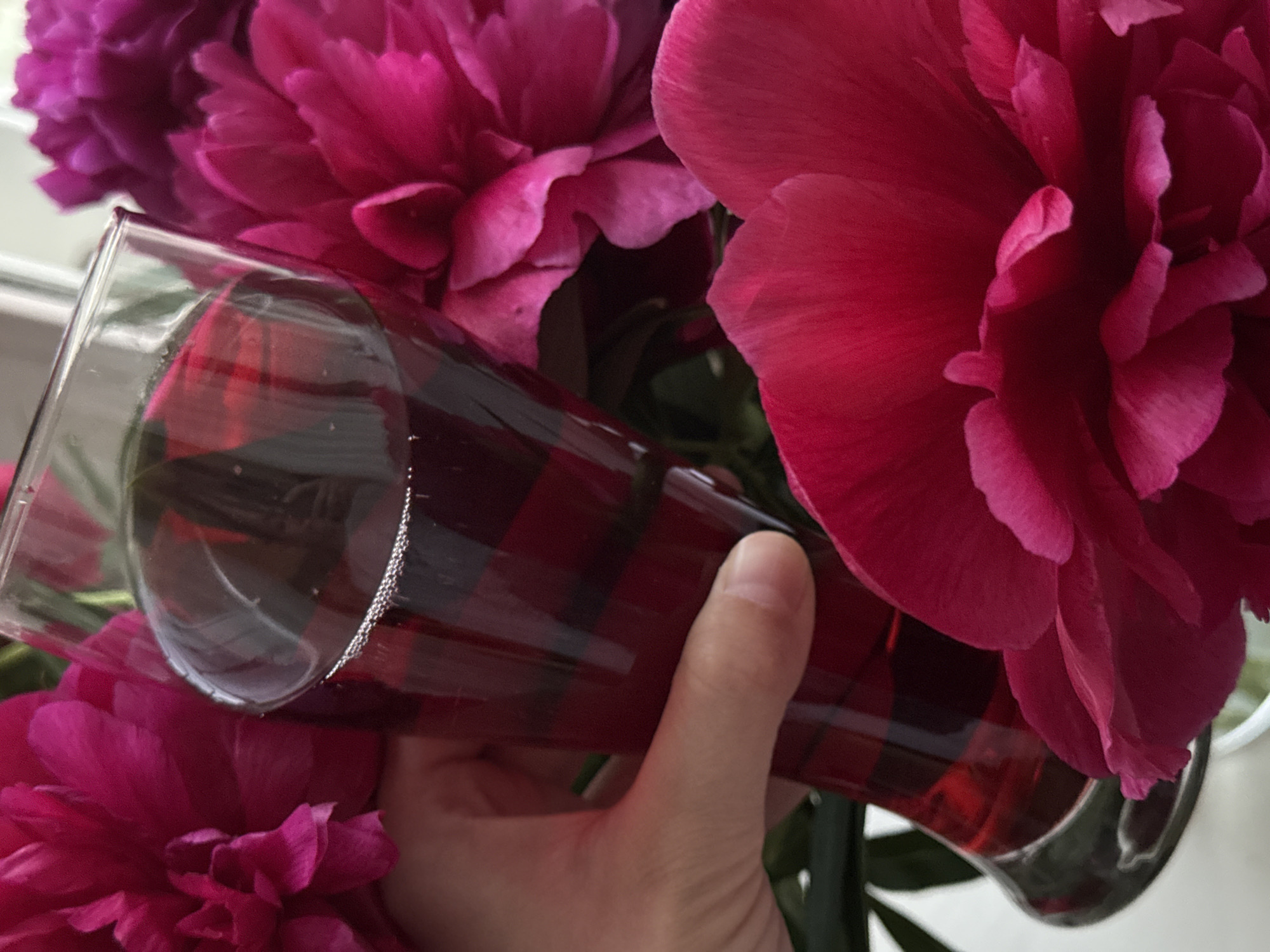 In this close-up, high-angle shot, a hand is seen holding a clear glass filled with a dark red liquid, possibly a beverage. The glass is positioned in front of a bouquet of vibrant pink peonies, with some petals overlapping the glass. The background is blurred, suggesting the focus is on the glass and the flowers. There is no discernible urban environment or specific location within Chaikovsky, Russia, visible in the image. The scene appears to be an indoor still life, possibly a tabletop arrangement.