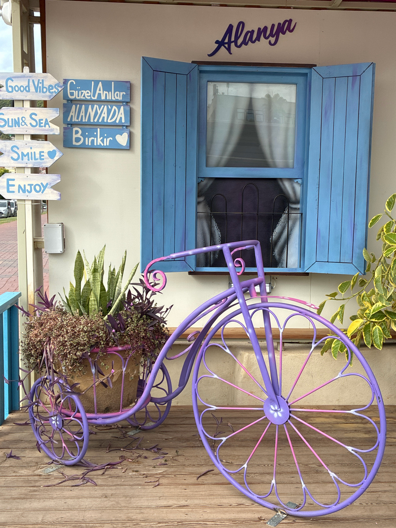 The image depicts a decorative purple bicycle with a planter filled with greenery and purple-leafed plants. The bicycle is positioned on a wooden deck in front of a building with a light-colored facade and bright blue shutters framing a window. A sign with the word "Alanya" in a stylized font is mounted above the window. To the left of the building, a series of directional signs are attached to a pole, with some signs reading "Good Vibes," "Sun & Sea," "Smile," and "Enjoy," and another set of signs in Turkish, including "Güzel Anılar" and "Alanya'da Birikir." The scene is set outdoors, likely in a public area or a shop front, given the decorative elements and signage. The lighting suggests it is daytime.