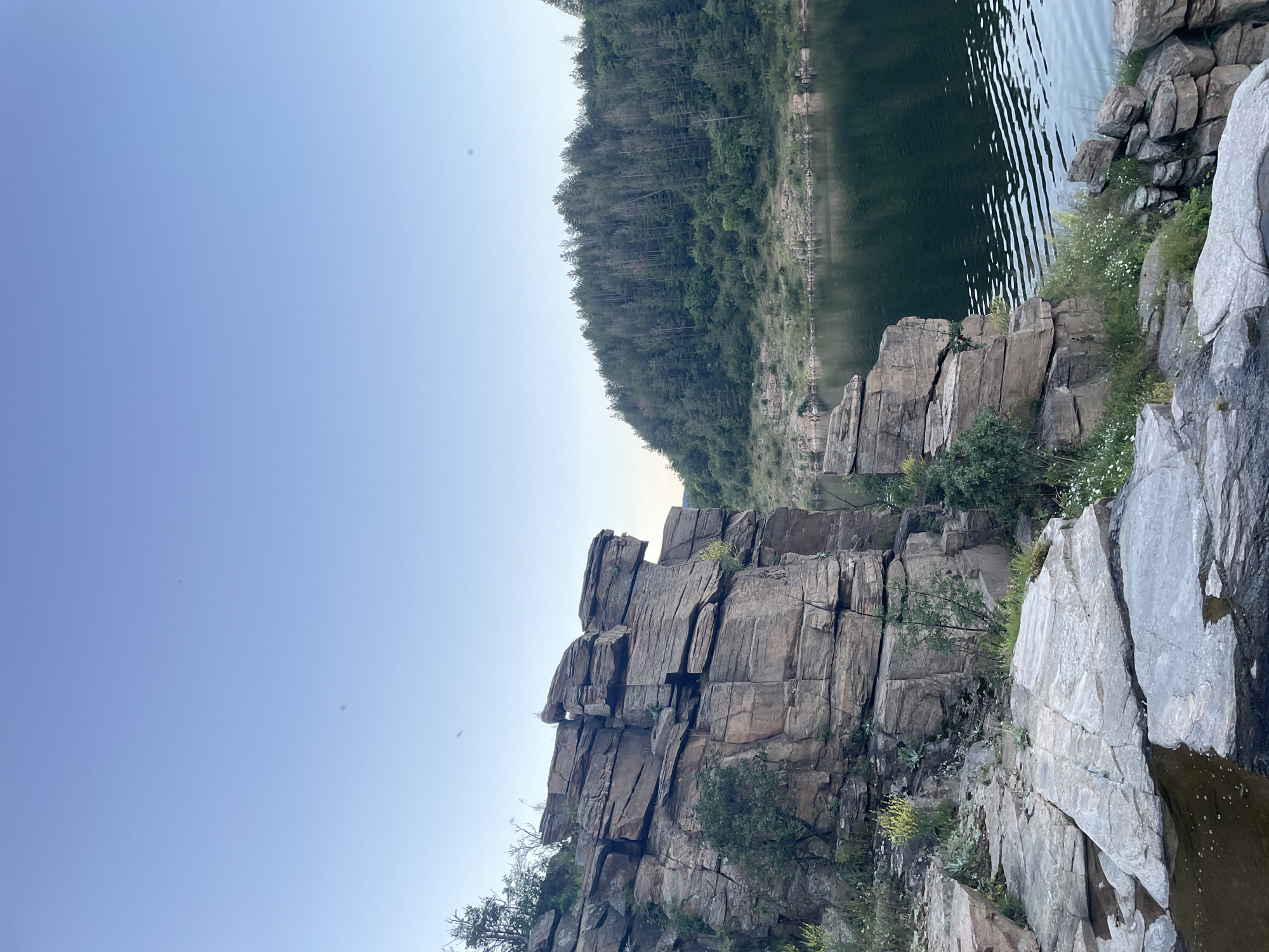 This image depicts a natural landscape near the city of Suhovo, Bulgaria. In the foreground, rugged, layered rock formations dominate the left side of the frame, interspersed with patches of green vegetation and small white flowers. The rocks appear weathered and are positioned on a rocky slope leading down to a body of water.
The water, likely a lake or reservoir, occupies the middle ground and right side of the image. Its surface is dark and reflects the sky and surrounding trees, with gentle ripples disturbing the reflection in the foreground.
In the background, a densely forested hillside rises from the water's edge. The trees are predominantly coniferous and appear to be in various states of growth, with some showing signs of dryness. The sky above is a clear, pale blue, indicating either early morning or late evening light. There are a few small, indistinct dark specks visible in the sky, possibly distant insects or dust particles. No people are present in the image, and the scene is tranquil and undisturbed.