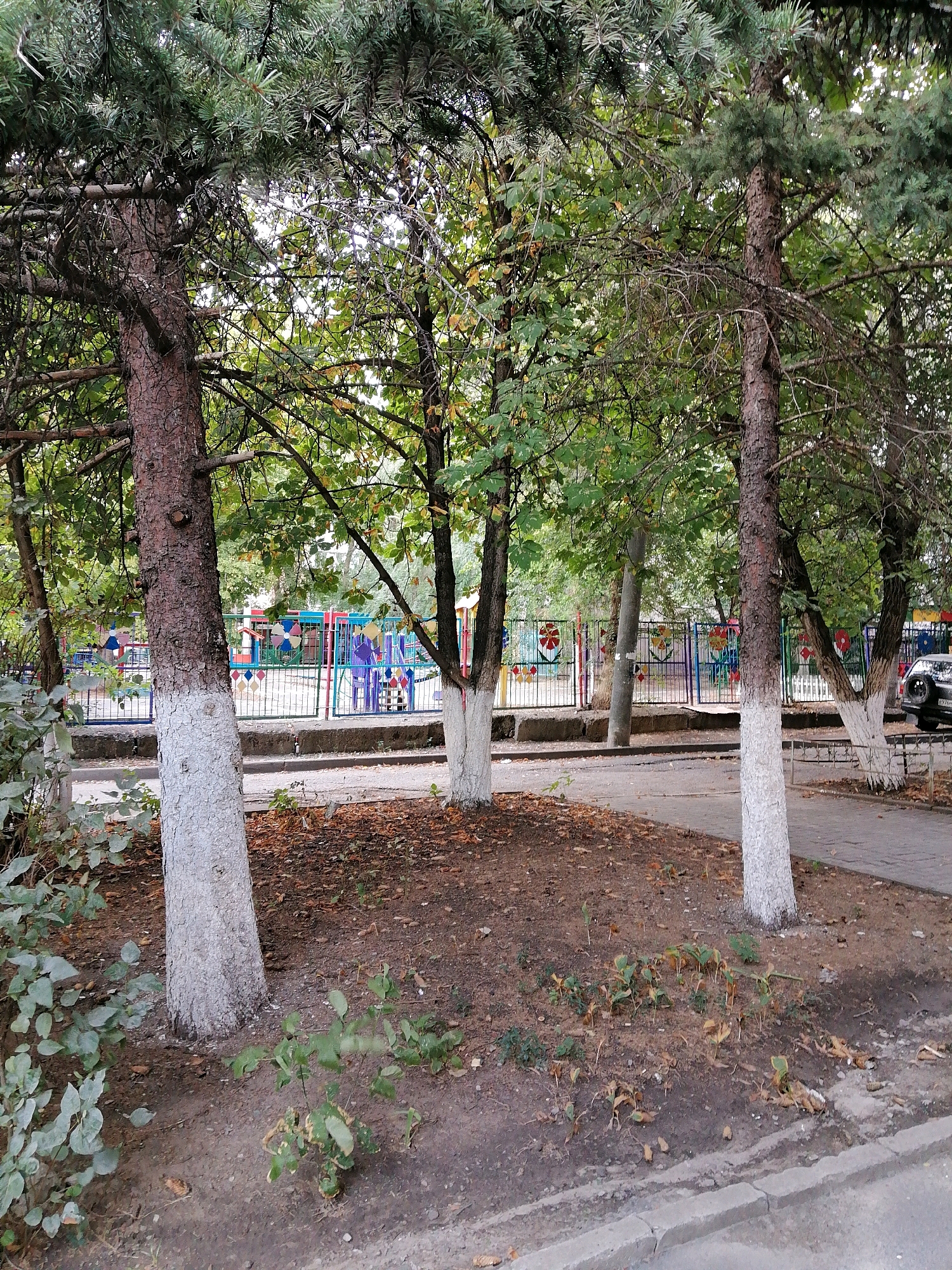 The image depicts a scene in Rostov-on-Don, Russia. In the foreground, several trees with whitewashed lower trunks are visible, standing on a patch of dry earth with scattered fallen leaves. Behind the trees, a colorful fence encloses a playground with various structures, including slides and climbing frames. The fence itself is decorated with colorful patterns and flower motifs. To the right of the playground, a portion of a car, possibly an SUV, is visible parked on a paved area. The overall environment suggests an outdoor public space, likely a park or a schoolyard, with elements of both nature and recreational facilities. The lighting indicates it is daytime, with overcast conditions.