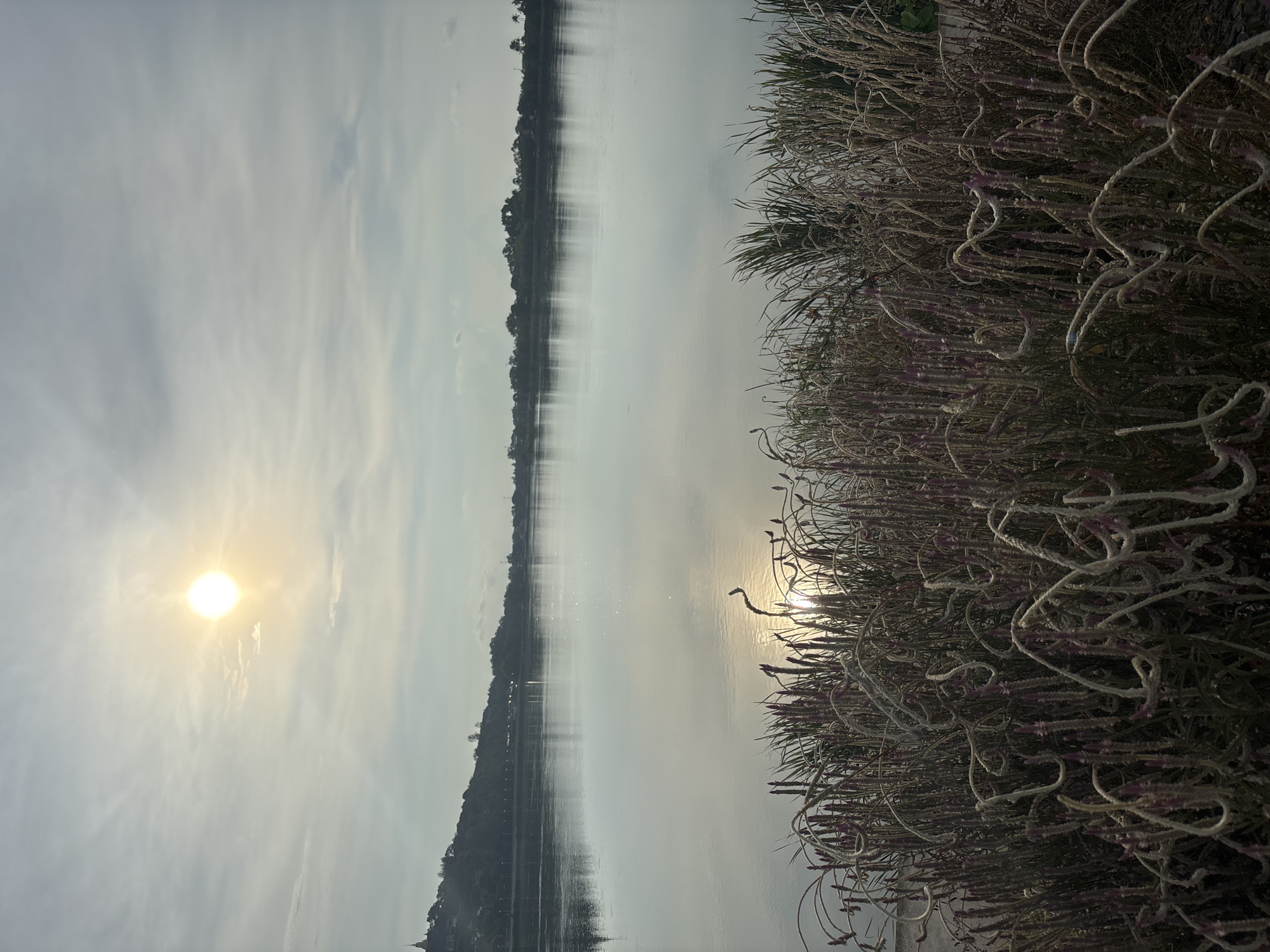 The image shows a body of water, likely a lake or wide river, reflecting a hazy sky with the sun visible in the upper left. A thin strip of land with trees runs along the opposite bank. On the right side of the image, there is dense vegetation with curled, seed-like structures. The location is บ้านบางรักษ์, Thailand.