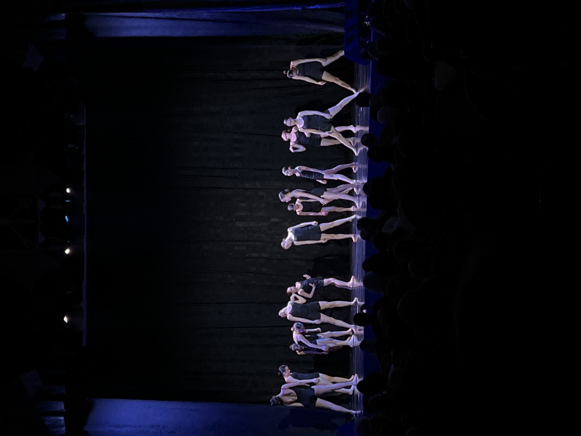 A stage performance is captured in an image. The dancers are dressed in black leotards, in a line formation, performing on a stage with a black backdrop. The audience is present in the background. The stage lighting is focused on the dancers. The image does not contain any information that leads to the location being in Saint Petersburg, Russia.