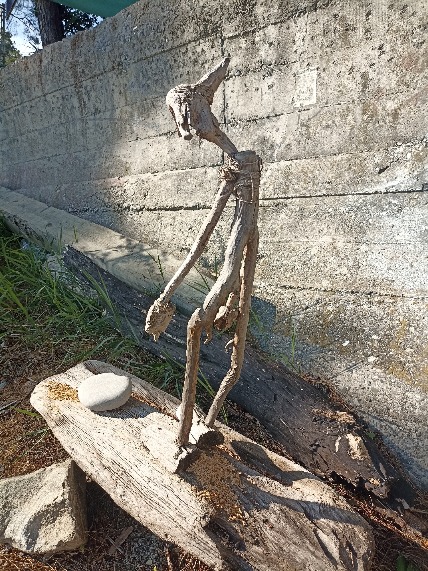The image depicts an outdoor scene, possibly in Sochi, Russia, featuring a driftwood sculpture resembling a human figure standing against a textured concrete wall. The sculpture, made of gnarled wood, has a distinct head, torso, and limbs. It is tied with rope in several places. The figure is positioned on a weathered wooden log, which rests on the ground next to other logs and rocks. Green grass and dry pine needles are visible around the base of the sculpture. The concrete wall behind the sculpture exhibits horizontal lines and a rough, porous texture, with some faint markings or debris. Sunlight casts shadows on the ground and the wall, indicating it is daytime. There are no people visible in the image.