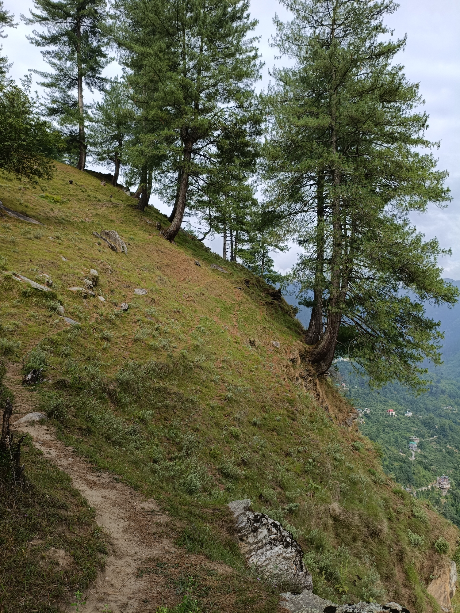 The image shows a steep, grassy slope with several tall pine trees growing along the edge. A narrow dirt path winds its way up the side of the slope. In the background, a hazy valley filled with lush green trees and scattered houses can be seen, with mountains in the distance. The sky is overcast. This appears to be a natural landscape, possibly in a hilly or mountainous region, fitting the description of Chhaki, India, which is known for its scenic beauty and natural terrain. There are no people or animals visible in the image.