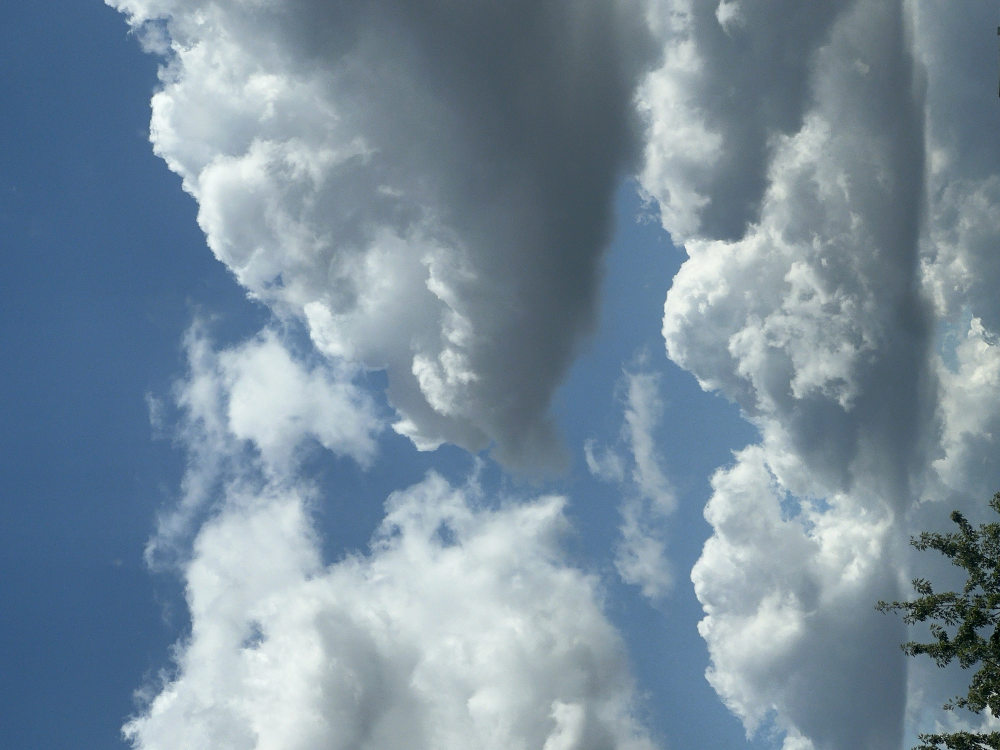 This is a vertical, medium shot photograph of a partly cloudy sky over Warsaw, Poland. The image captures a dynamic sky filled with various cloud formations, ranging from bright white cumulus clouds to darker, heavier masses that suggest potential rain. The blue sky peeks through the gaps in the clouds, creating a dappled effect. In the foreground, the tops of trees with dark green foliage are visible along the bottom edge of the frame, suggesting an outdoor setting within the city. The lighting indicates it is daytime, likely mid-afternoon, with the sun illuminating the clouds from above. There are no people or specific landmarks identifiable in the image, focusing entirely on the natural elements of the sky and the suggestion of an urban environment below.