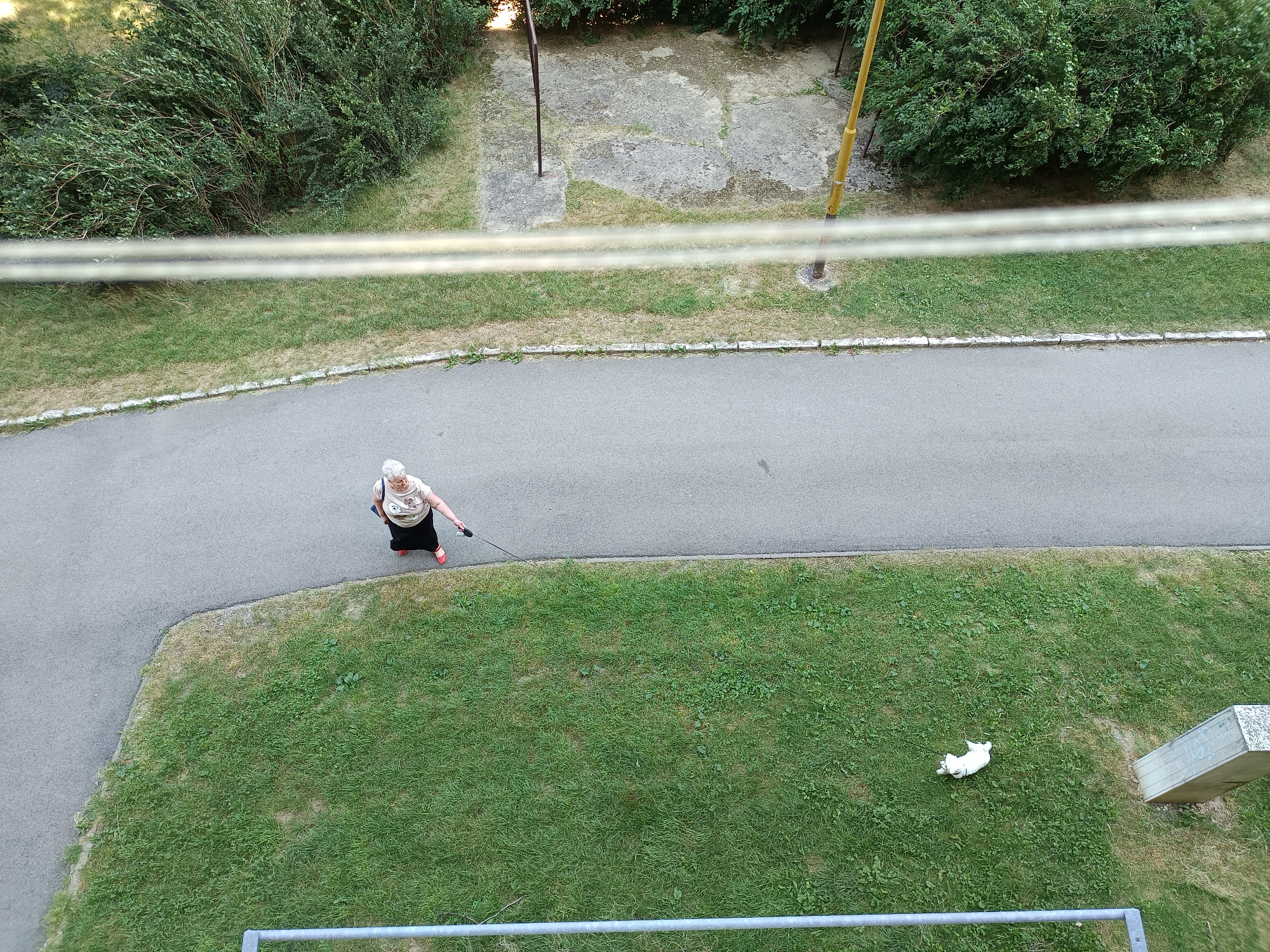 An overhead, eye-level shot captures an elderly woman walking a dog on a leash along a paved pathway bordered by green grass and dense bushes. The woman, dressed in a light-colored t-shirt and a black skirt, is positioned on the pathway, and the dog, small and white, is visible lying on the grass to the right of the pathway, slightly ahead of the woman. The environment appears to be a park or residential area with a concrete slab and poles in the background, suggesting a public space. The scene is outdoors with natural lighting. The general setting appears to be an urban environment, potentially within the city of Košice, Slovakia, given the characteristic trees and the presence of paved walkways and grassy areas common in European city parks.