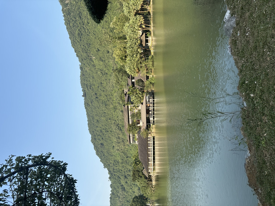 A verdant hillside slopes down to meet a calm lake, dotted with waterside buildings featuring dark roofs and light-colored supports. The tranquil water reflects the structures and surrounding trees. A grassy bank borders the lake on one side, while a clear blue sky stretches above the landscape. A tree with dense foliage is visible in the lower left corner. The scene exudes a sense of peace and natural beauty.