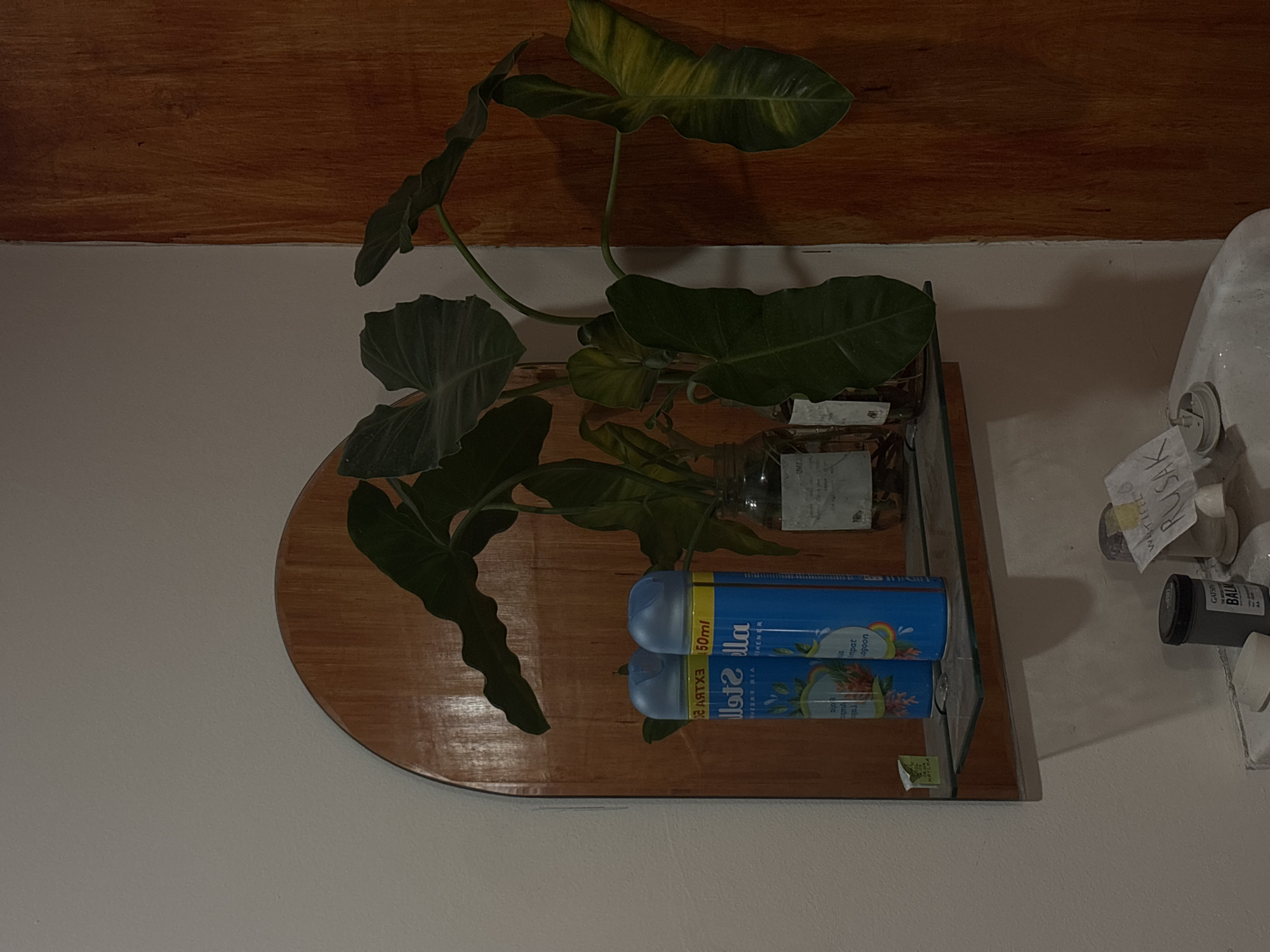 This image depicts a dimly lit bathroom in Semarang, Indonesia. The scene is dominated by a wooden arched mirror frame with a glass shelf attached. On the shelf, two blue air freshener cans and a glass jar containing a plant are visible. The plant has large, dark green leaves, some with yellow variegation. Below the shelf, a white sink is partially visible, along with various toiletries, including a gray container labeled "GATSBY THE BALM," a small white dish, and a crumpled piece of paper with handwritten text that appears to be in Indonesian. The overall impression is one of a functional, lived-in space.