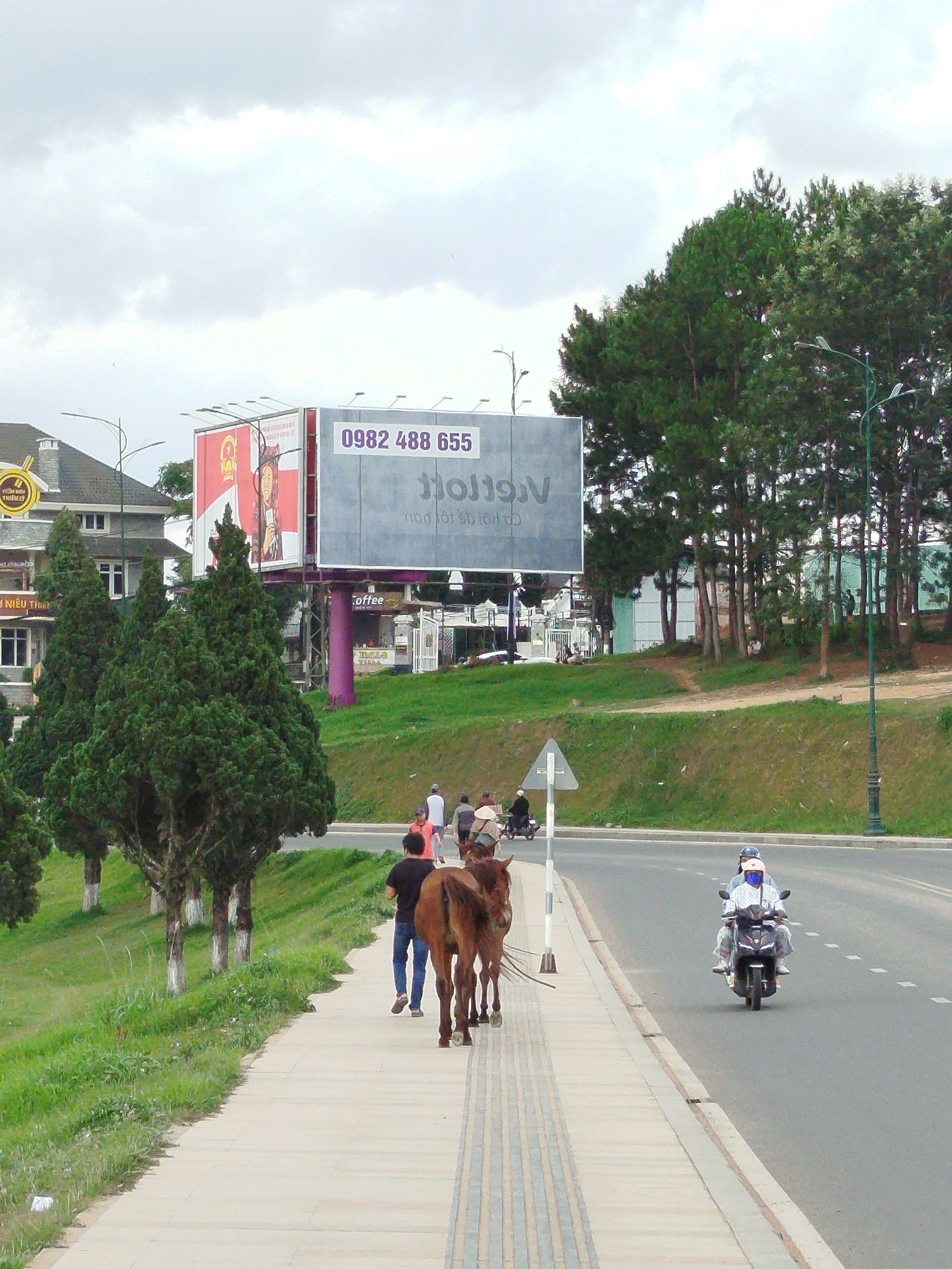 A man walks a brown horse along a sidewalk next to a busy street in Da Lat, Vietnam. The street has a single lane in each direction, with a person on a scooter driving in the right lane. The sidewalk is concrete and has a tactile paving strip. A green grassy area with trees separates the sidewalk from a grassy hill. A large billboard is visible in the background, advertising with the phone number 0982 488 655. Buildings and trees can be seen further in the background. The sky is overcast.
